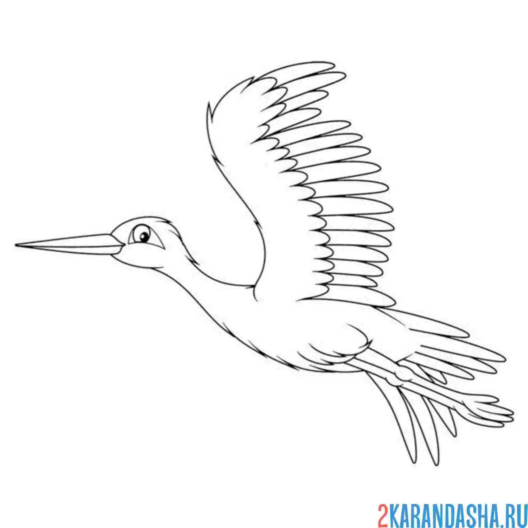 Раскраска аист перелетная птица