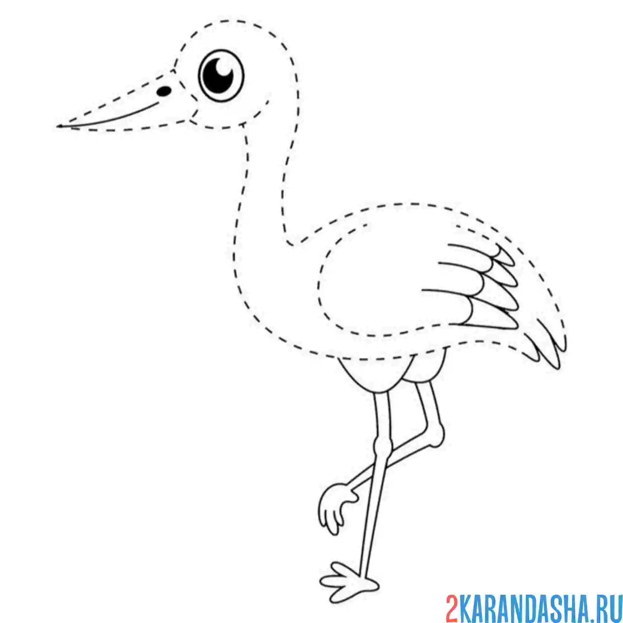 Раскраска обведи по линиям аист