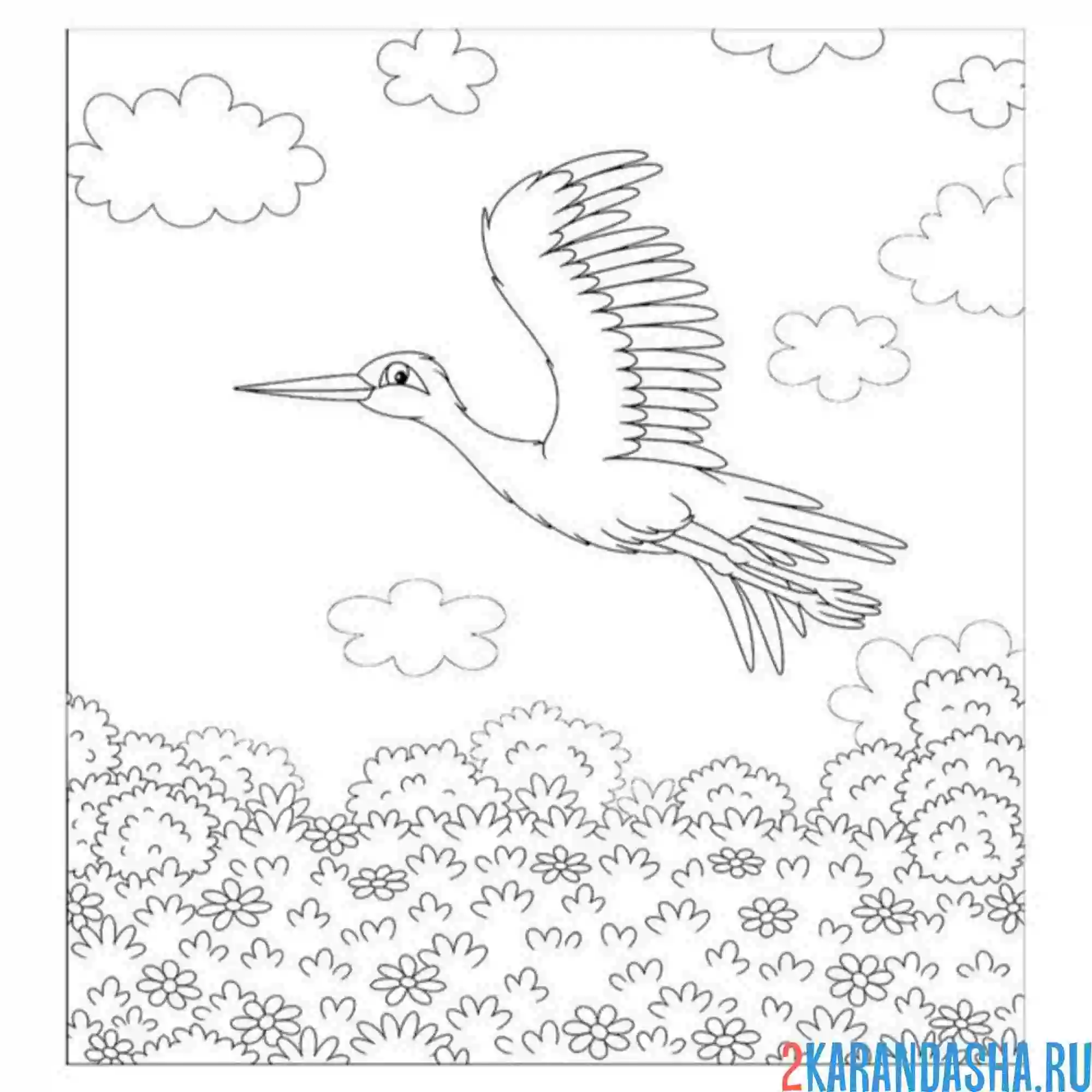 Раскраска аист перелетная птица в полете