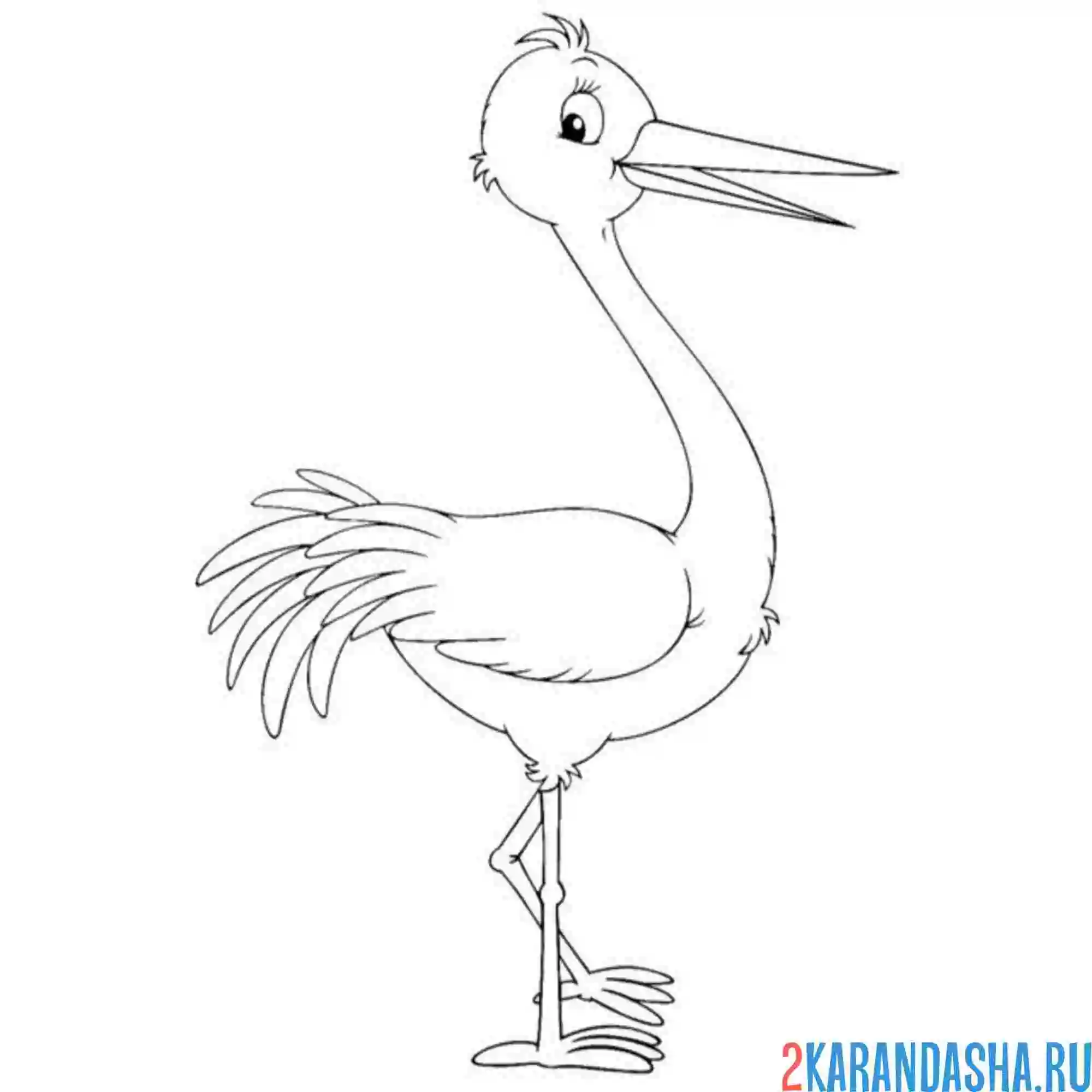 Раскраска красивая птица аист