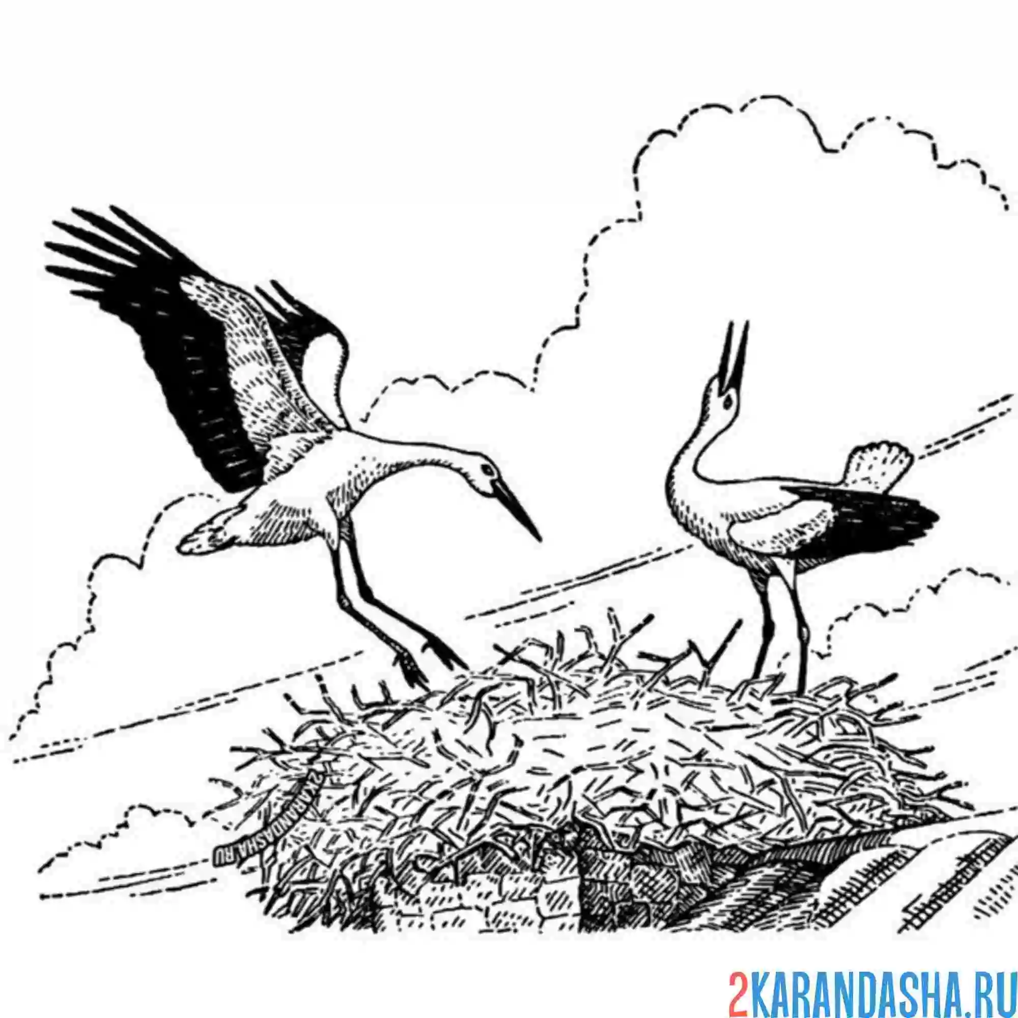Раскраска гнездо с аистами