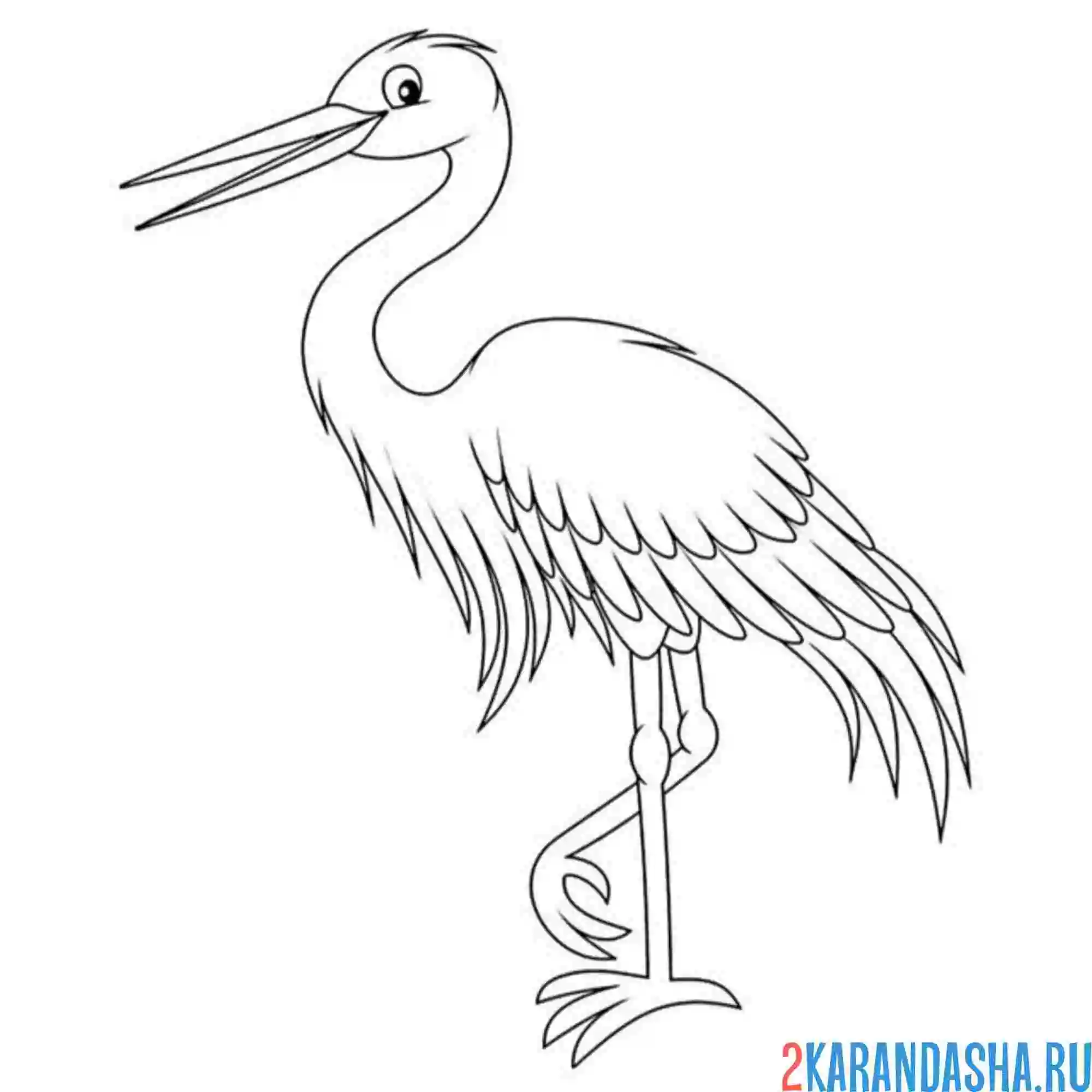 Раскраска белый аист птица