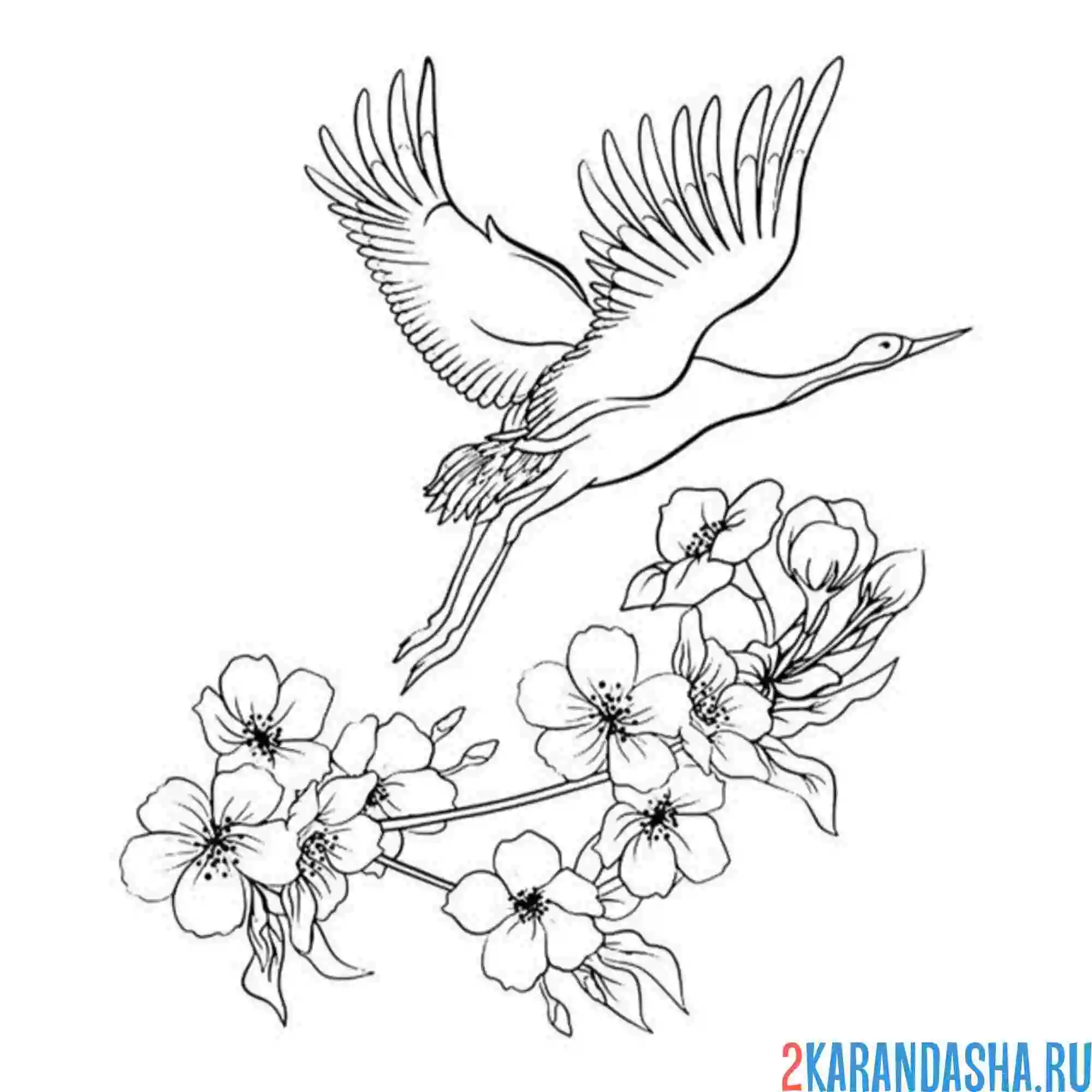 Раскраска журавль и сакура