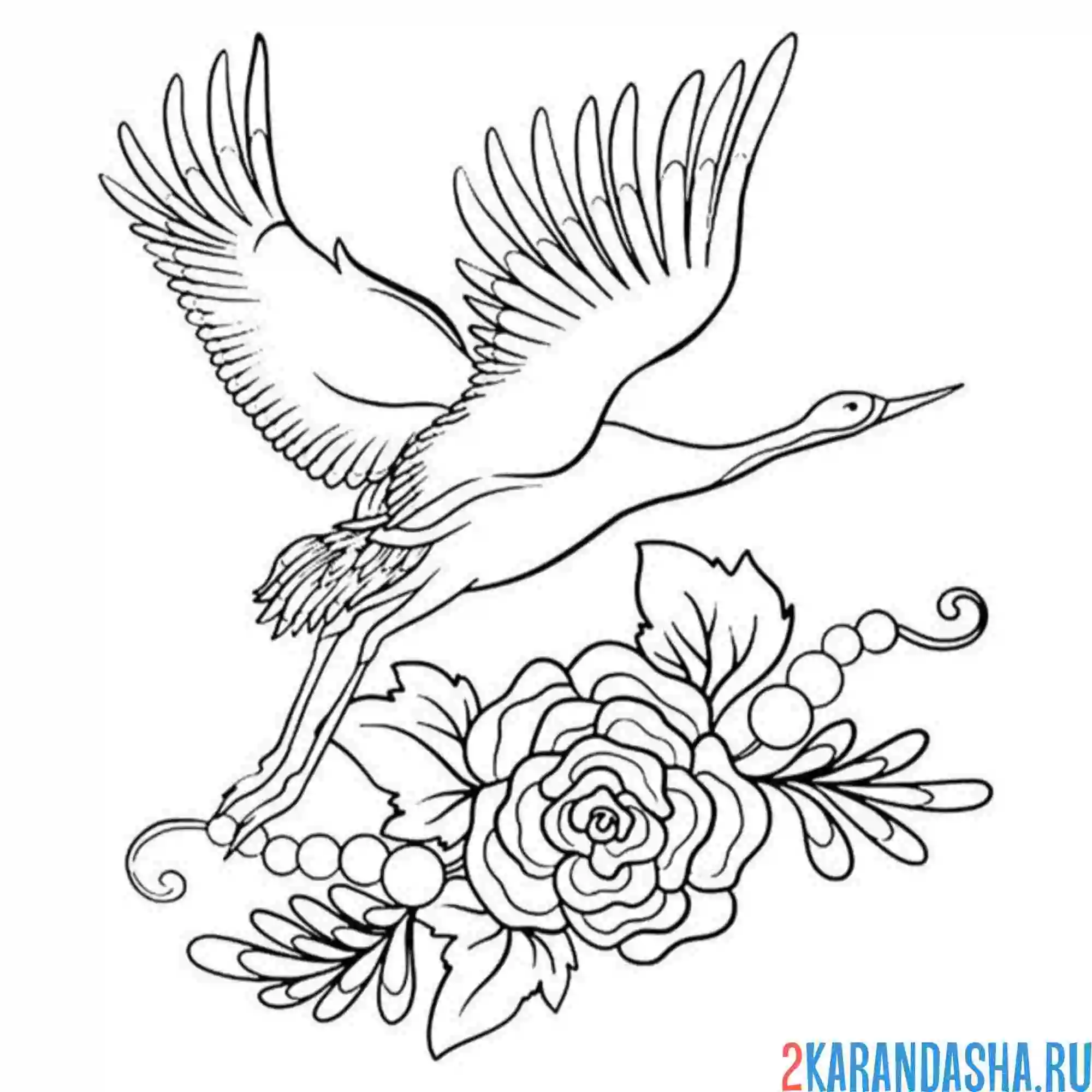 Раскраска журавль и розы