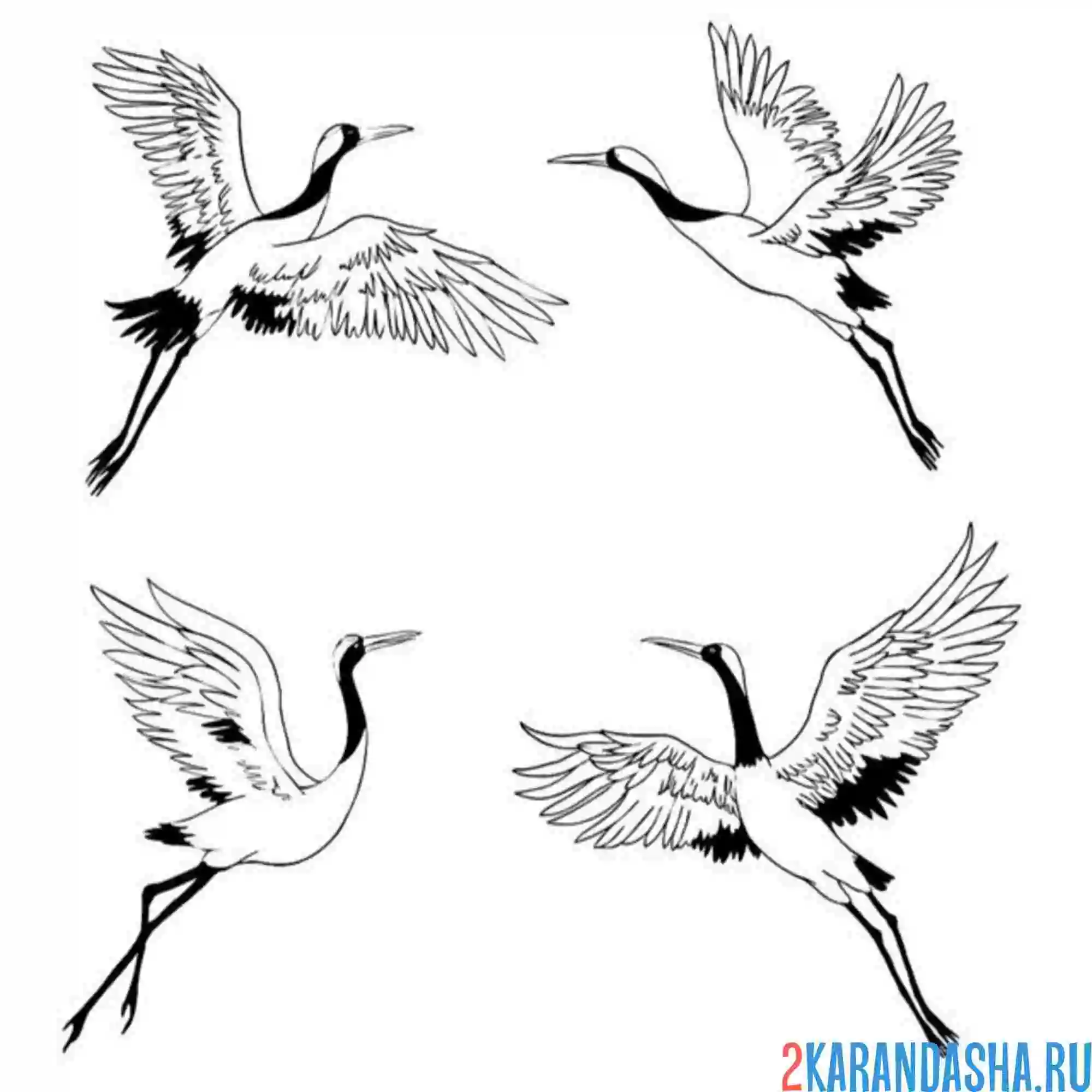 Раскраска четыре журавля
