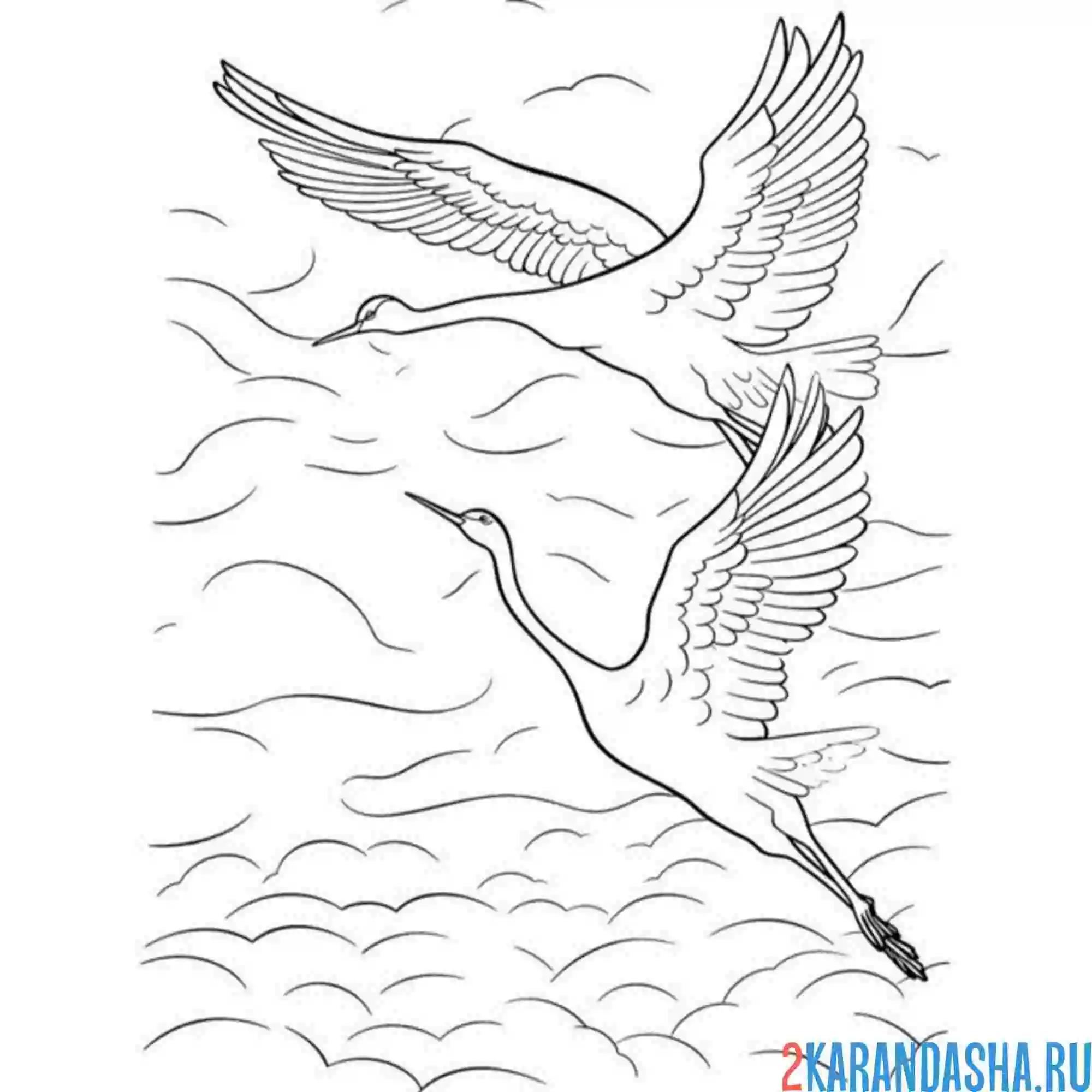 Раскраска два журавля