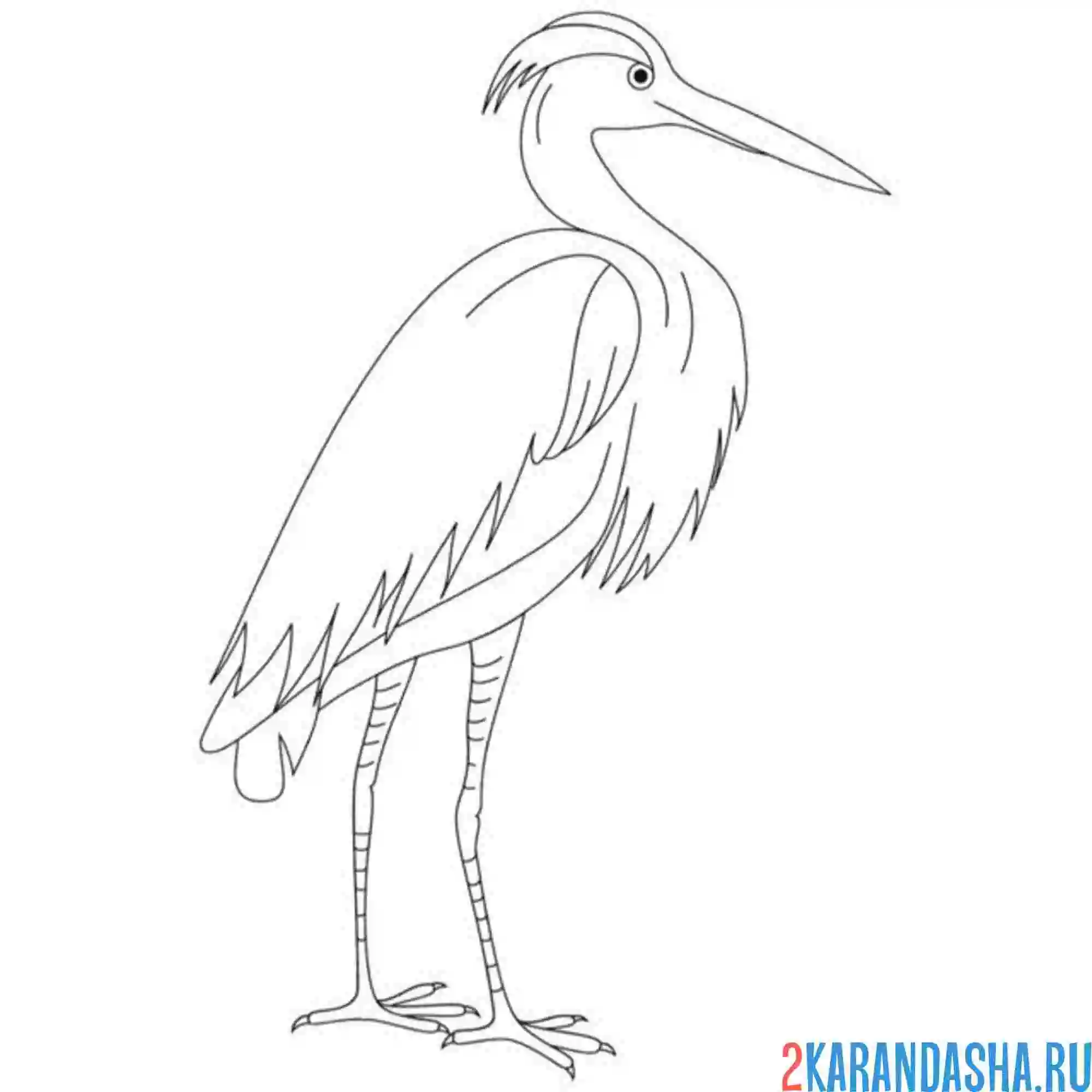 Раскраска журавль на лапках