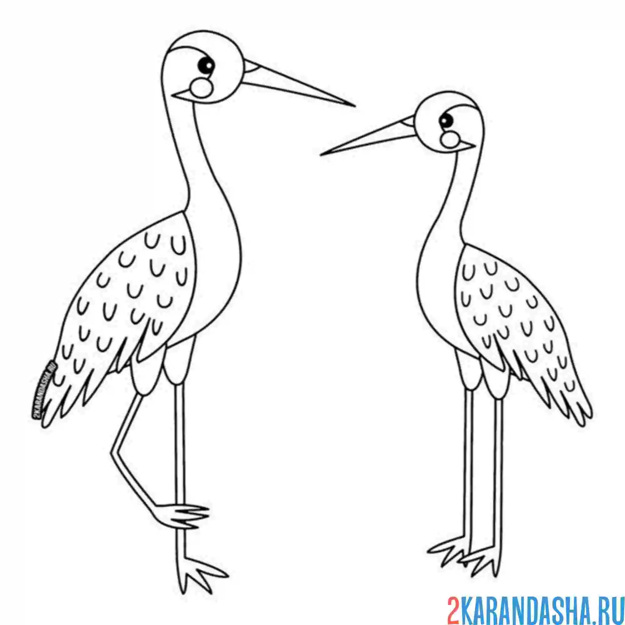 Раскраска журавль пара