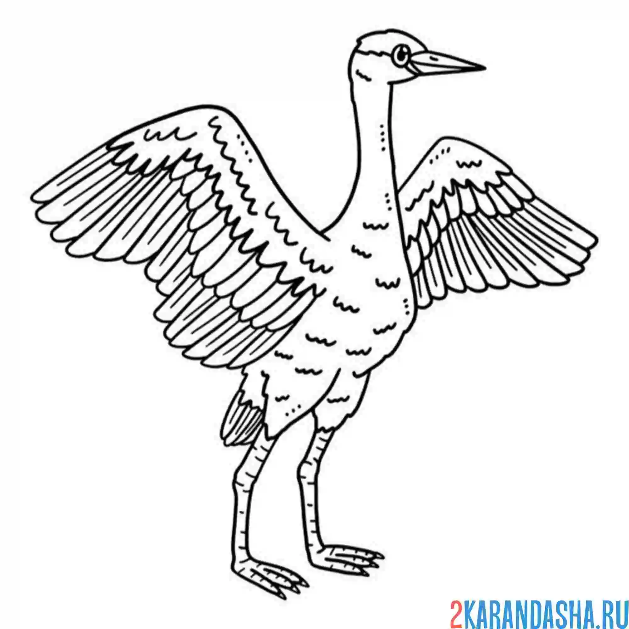 Раскраска журавль стартует