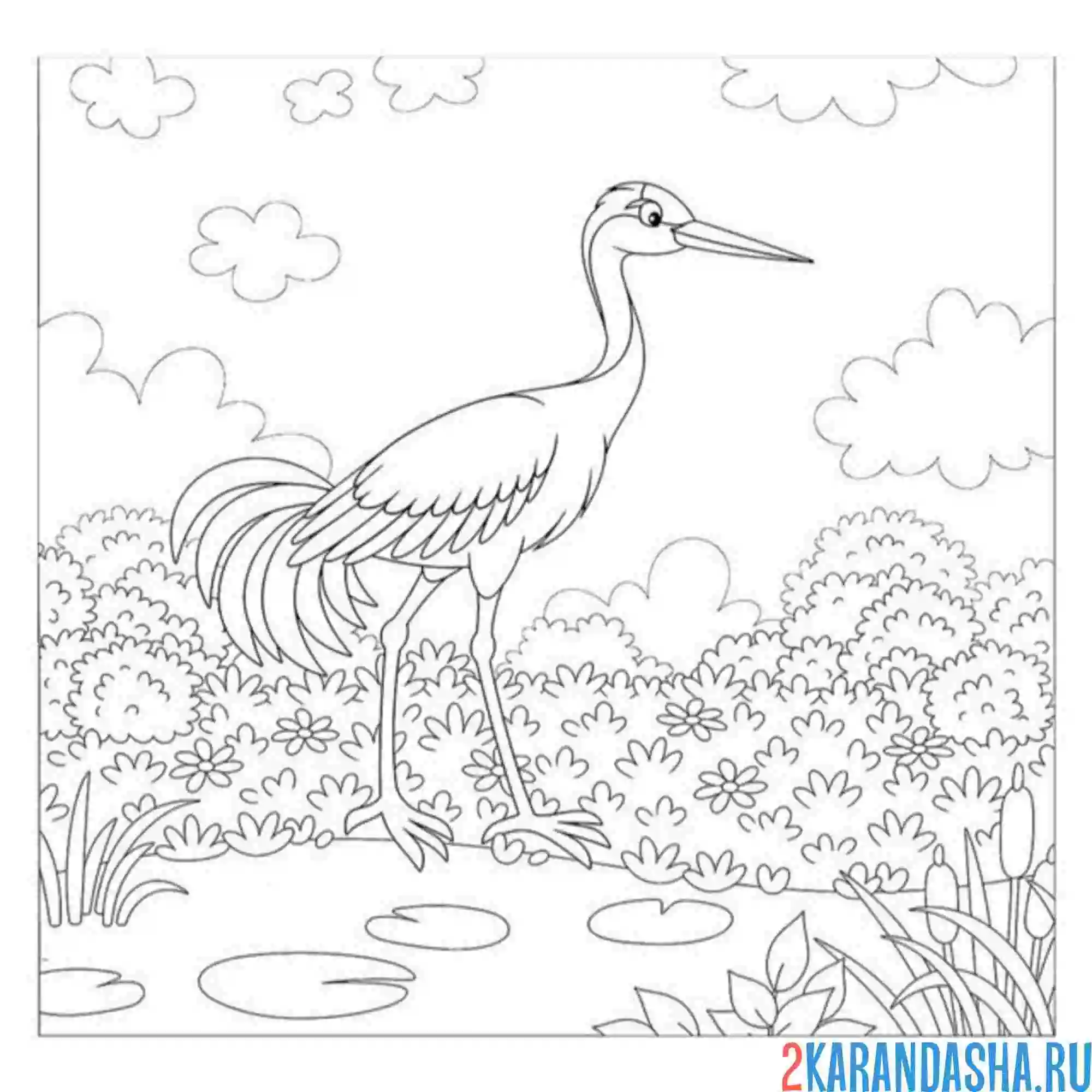 Раскраска журавль в лесу