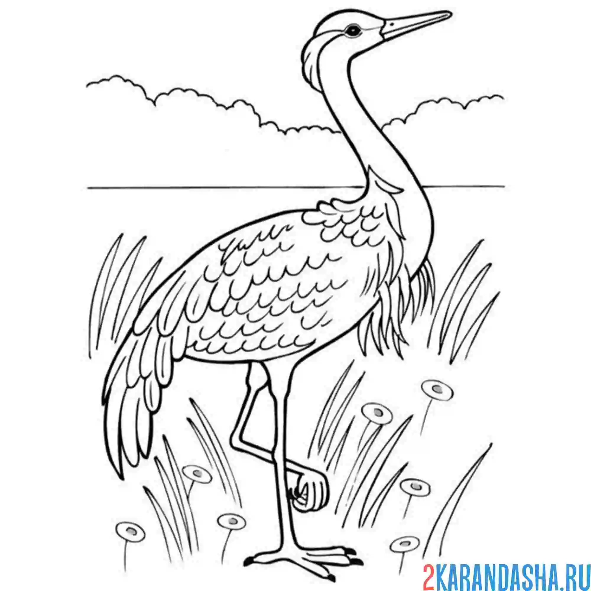 Раскраска журавль и река