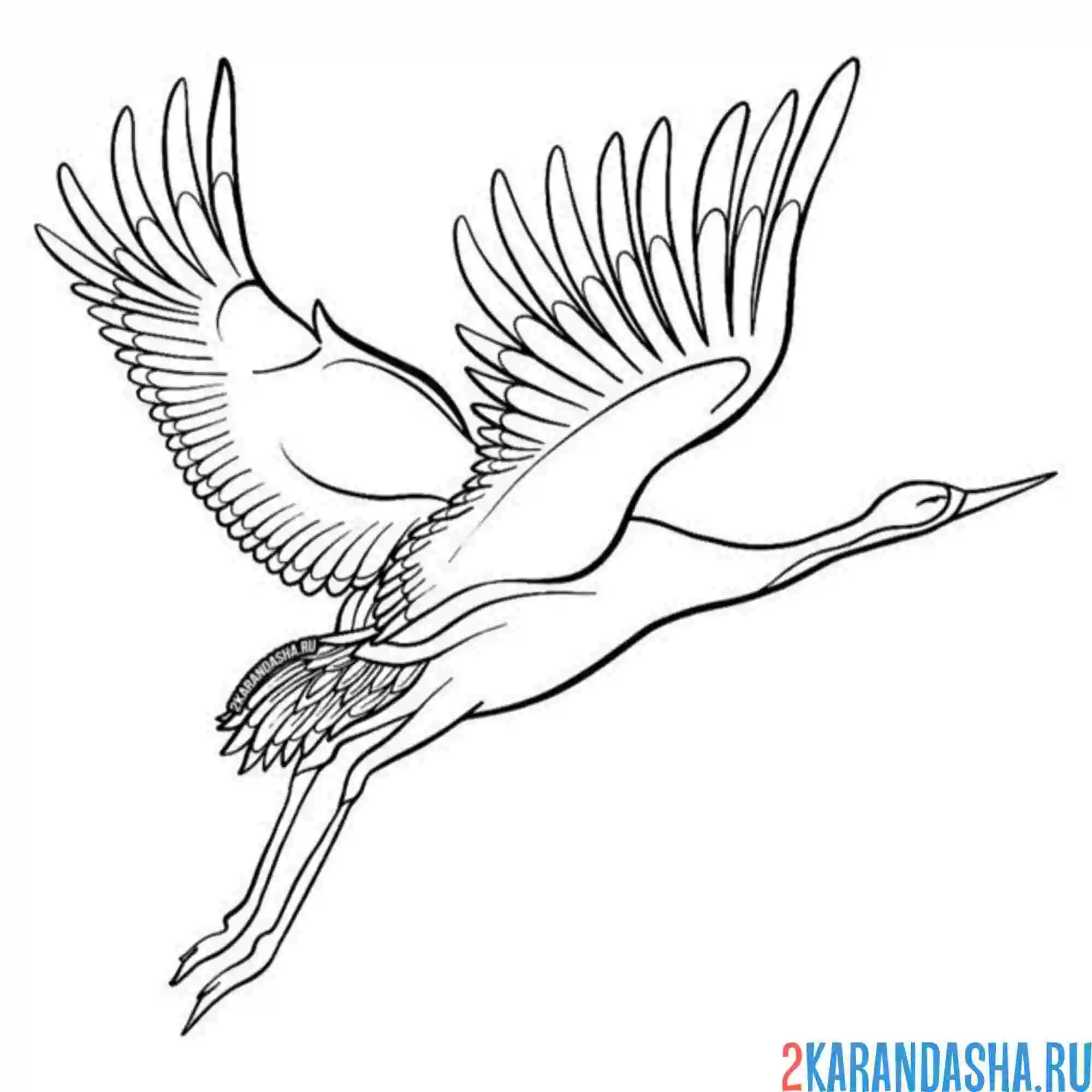 Раскраска полет журавля