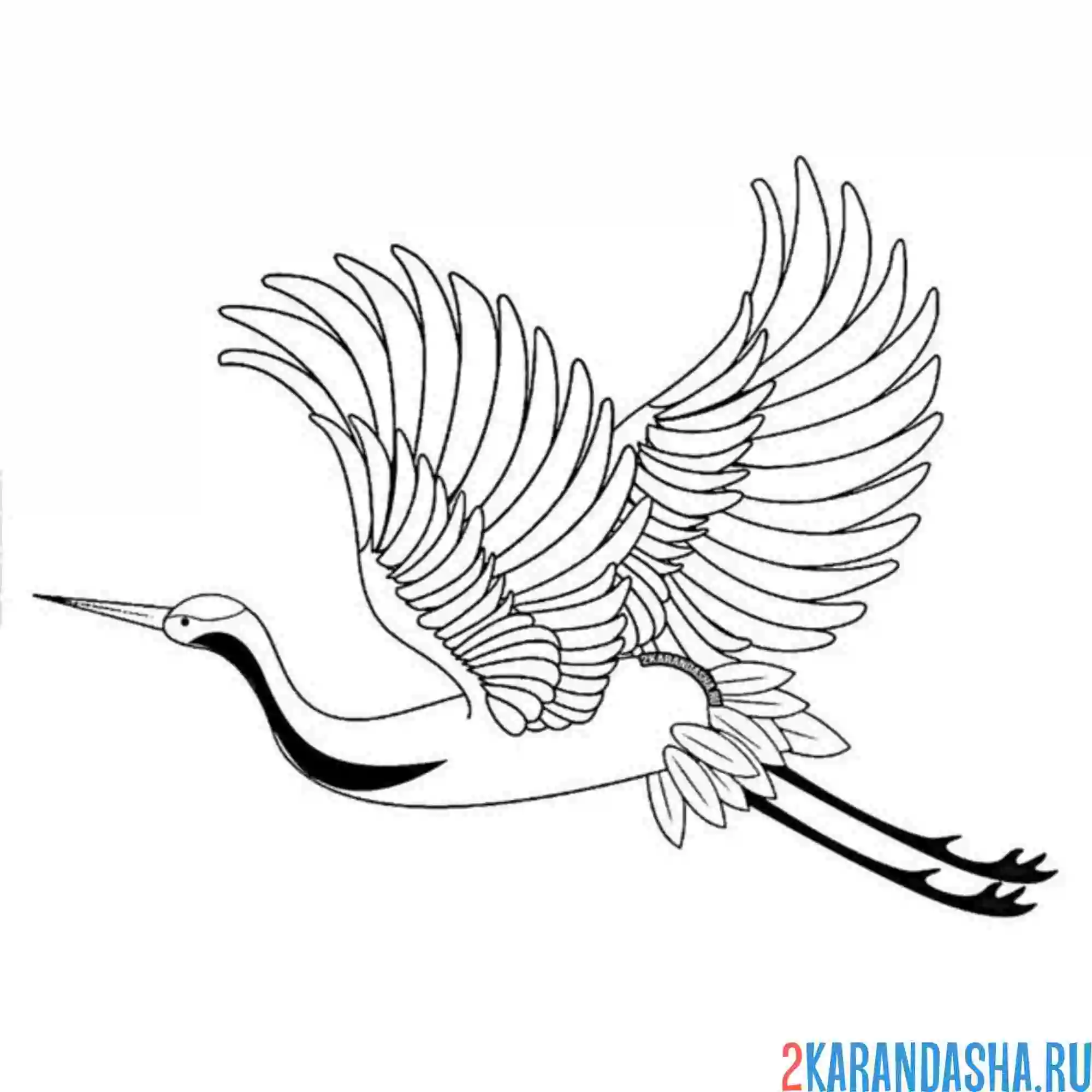 Раскраска летит журавль