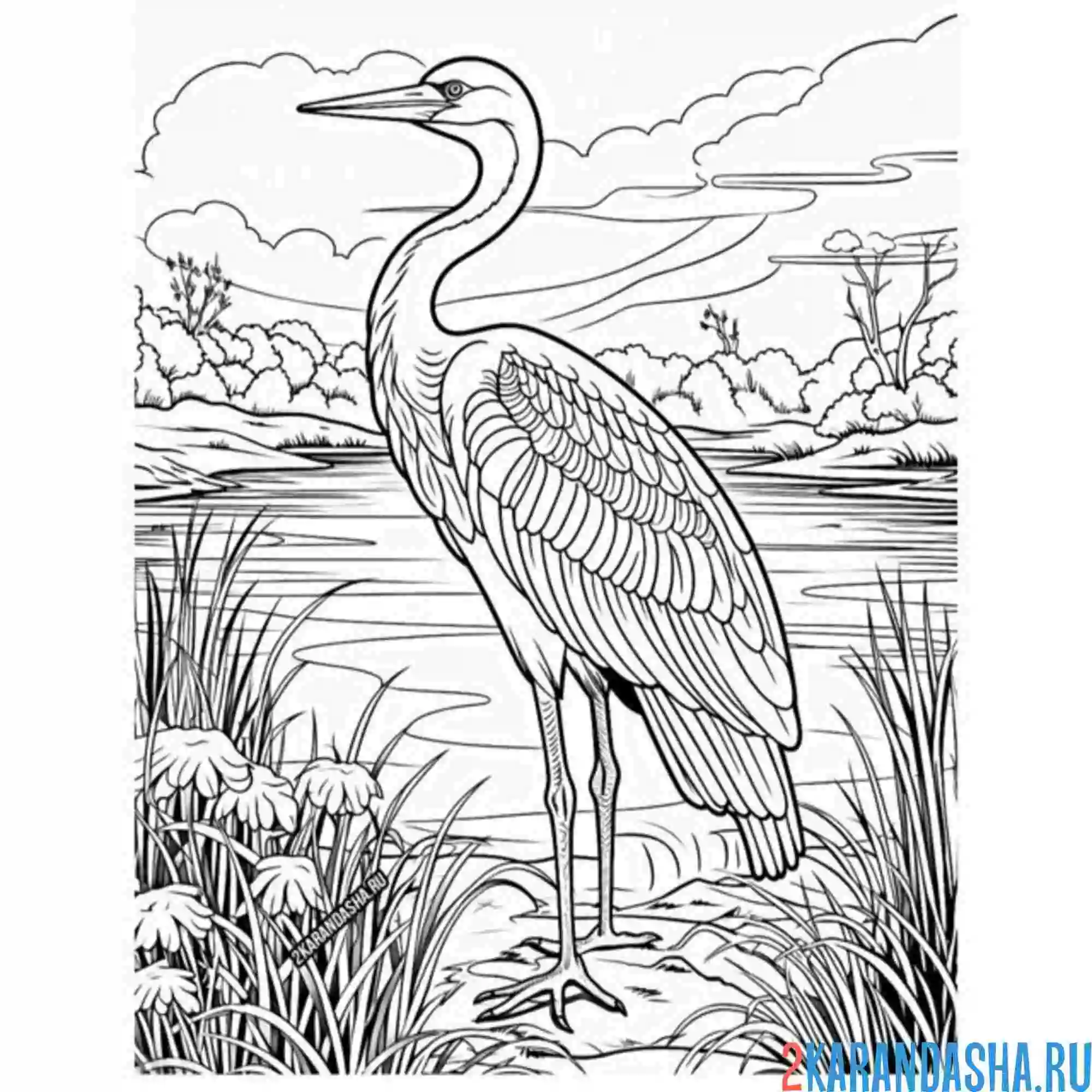 Раскраска журавль озеро