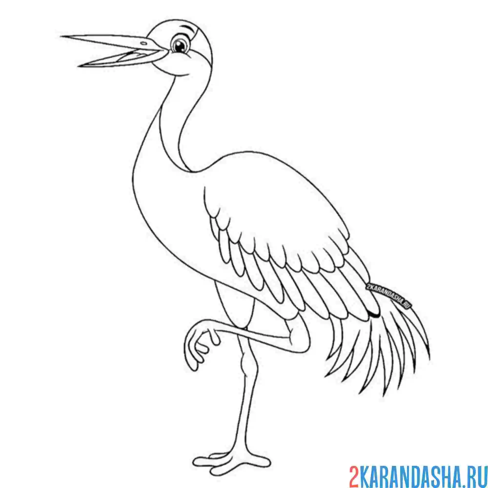 Раскраска журавль красивый