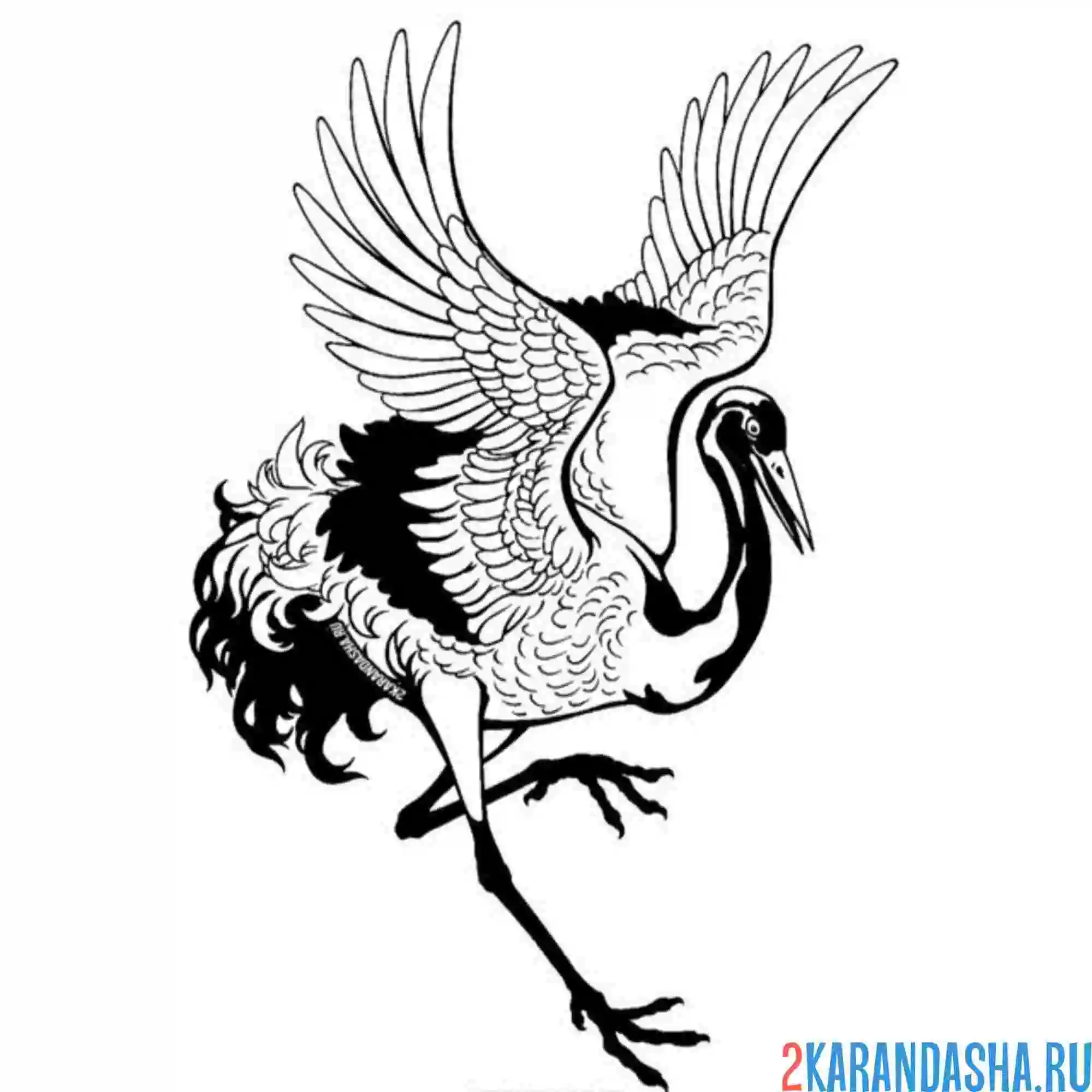 Раскраска танец одного журавля