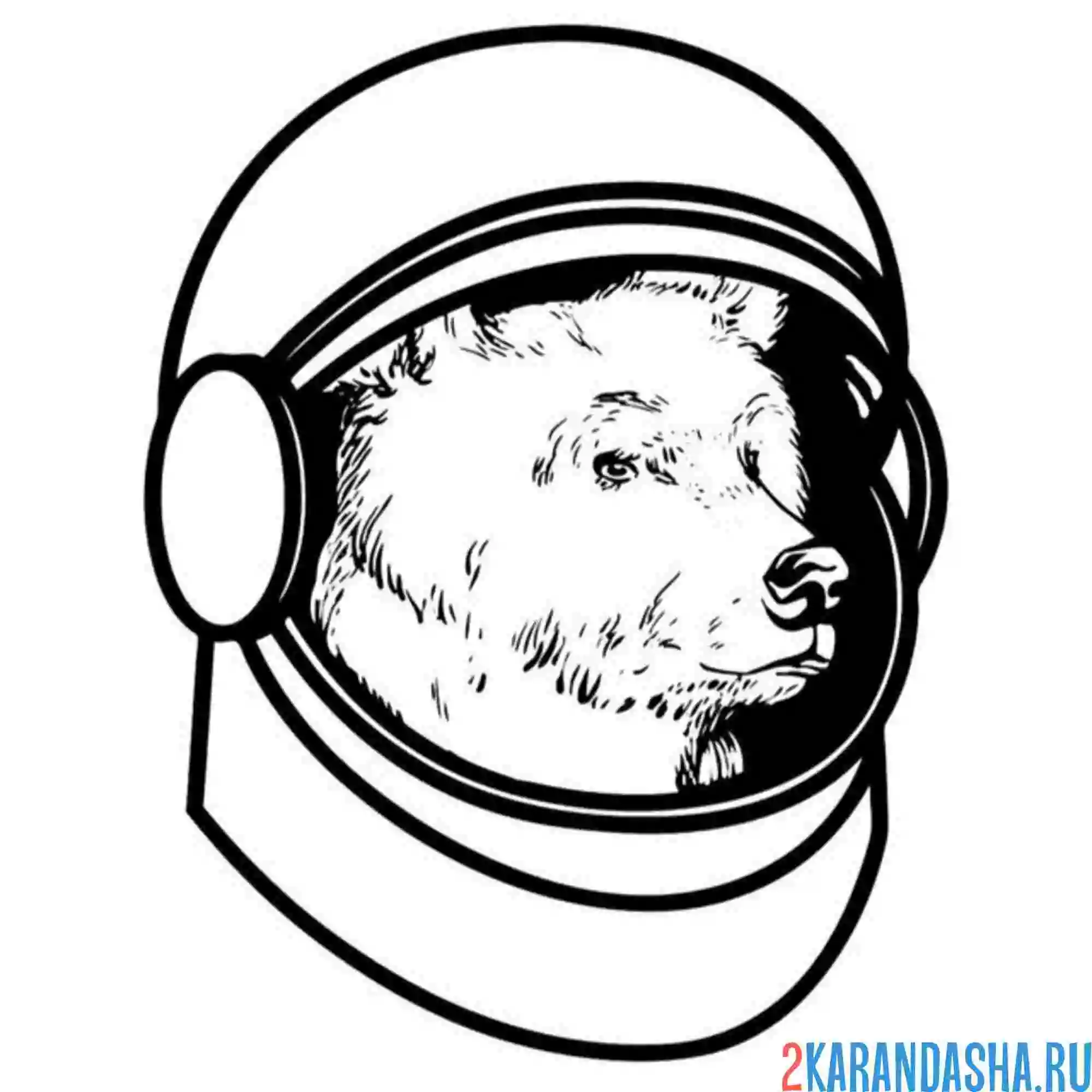 Раскраска стрелка белка космонавты