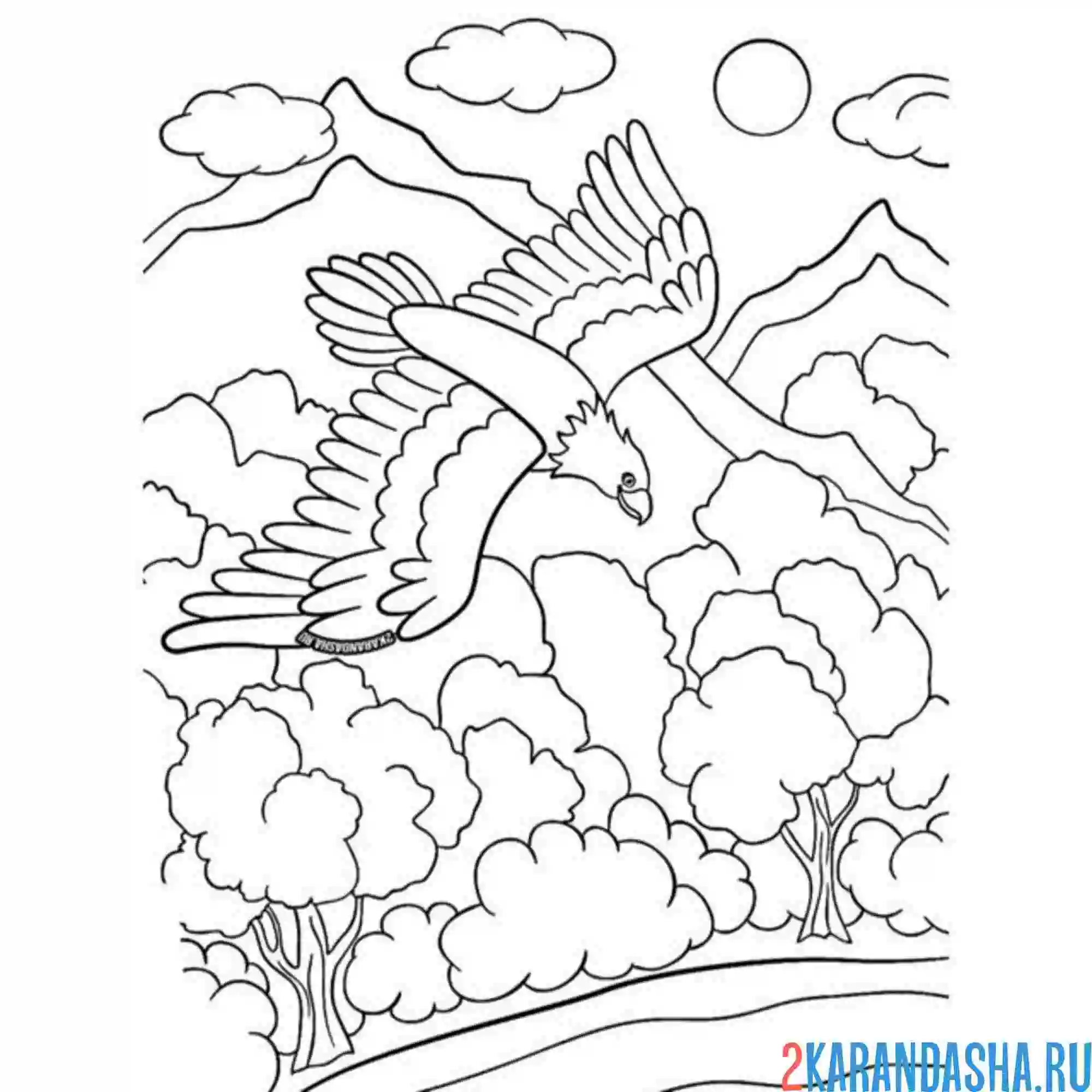 Раскраска орел в горах