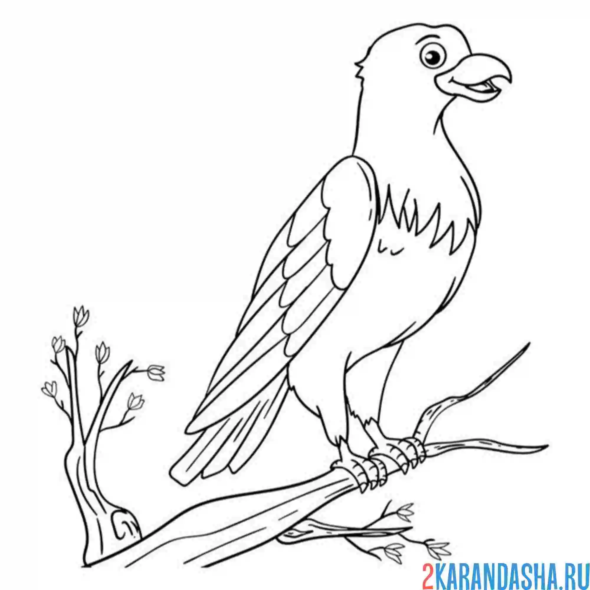 Раскраска орел милый
