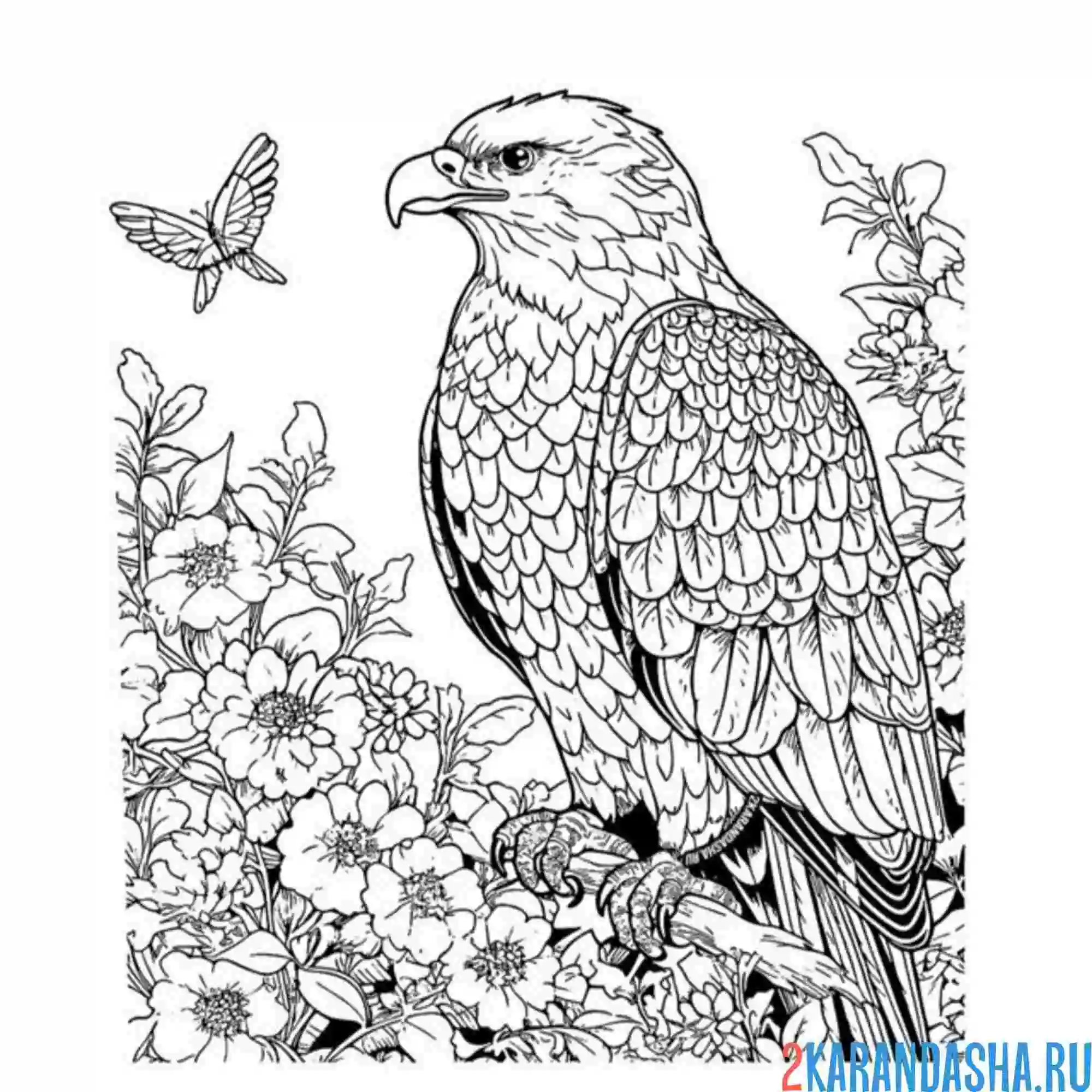Раскраска орел в цветах