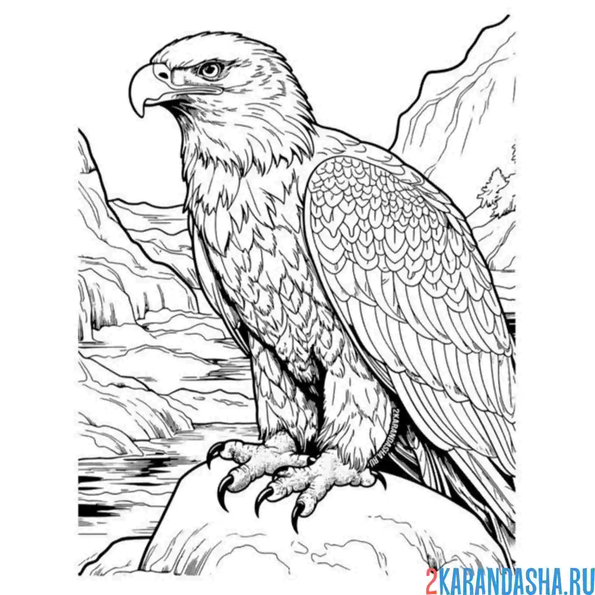 Раскраска орел на камне