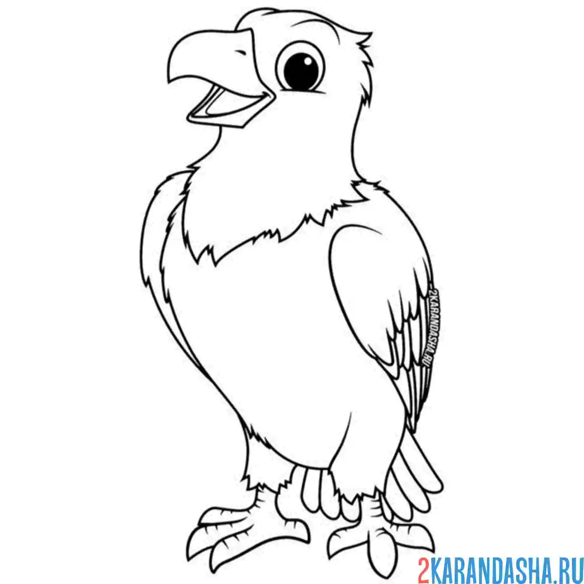 Раскраска орлица орел