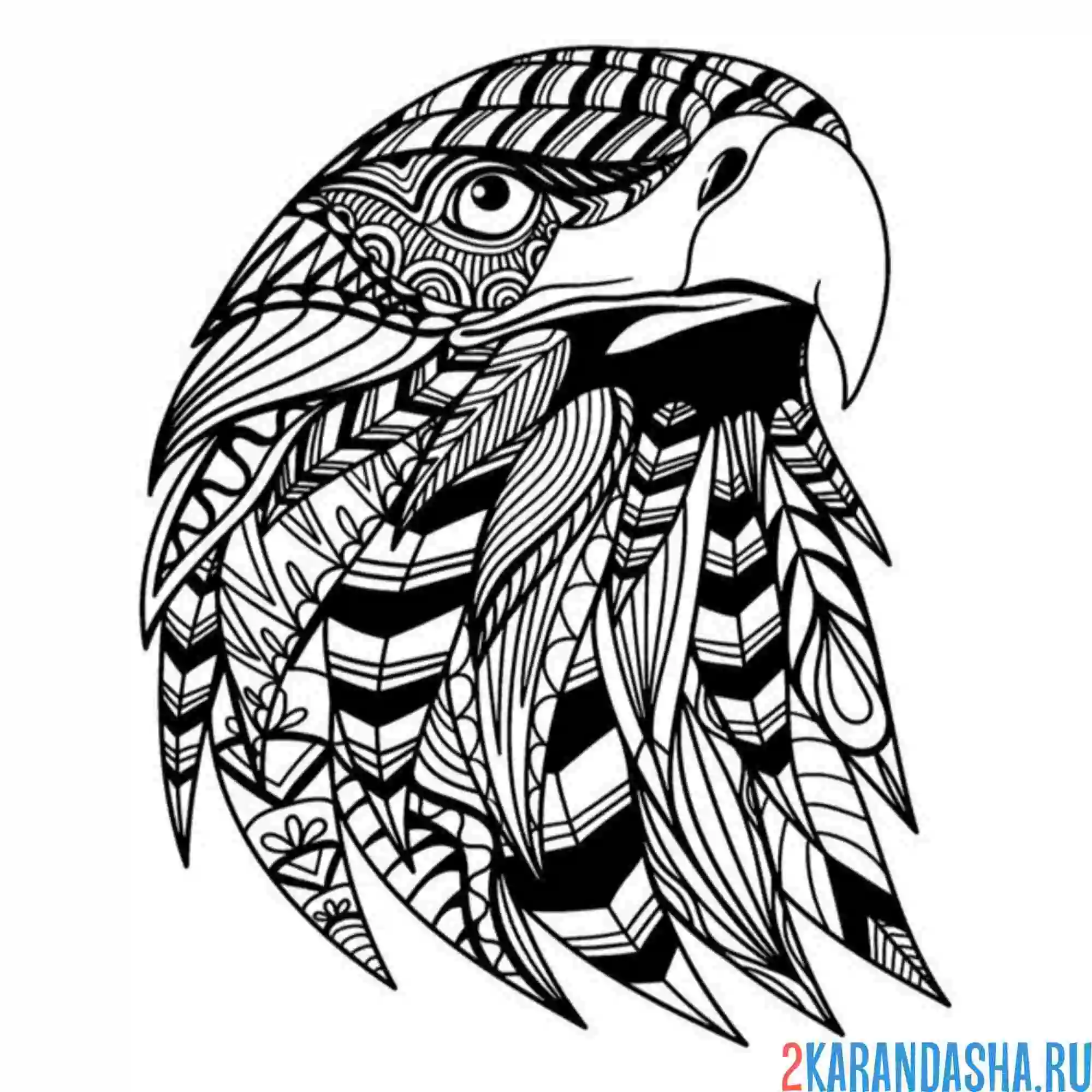 Раскраска антистресс голова орла