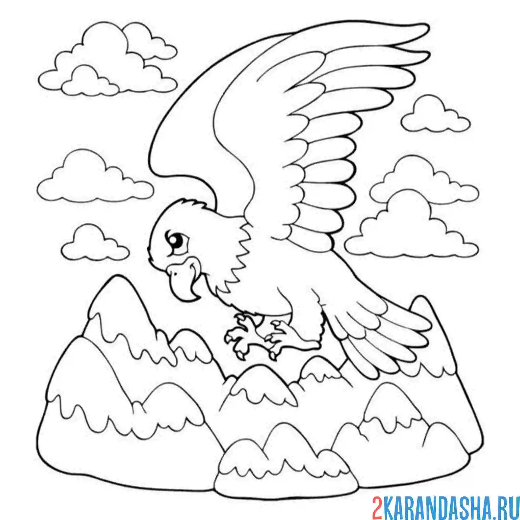 Раскраска орел парит в облаках