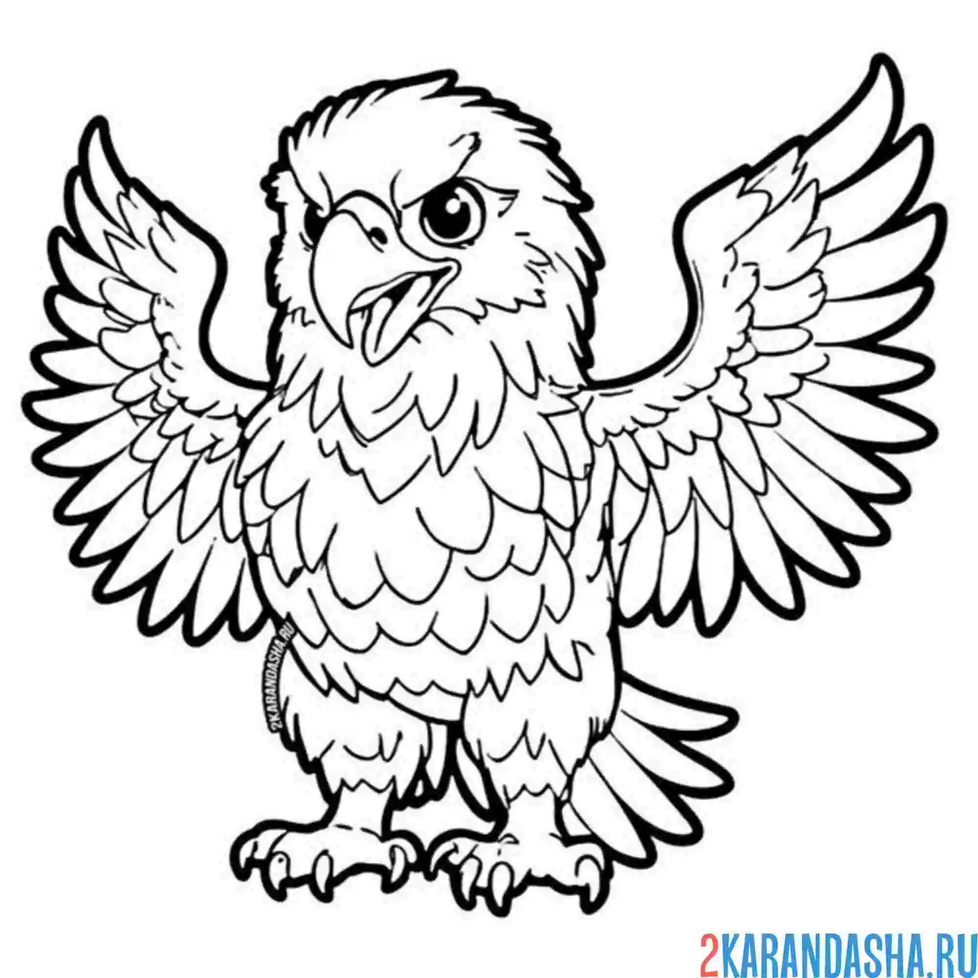 Раскраска милая птица орел