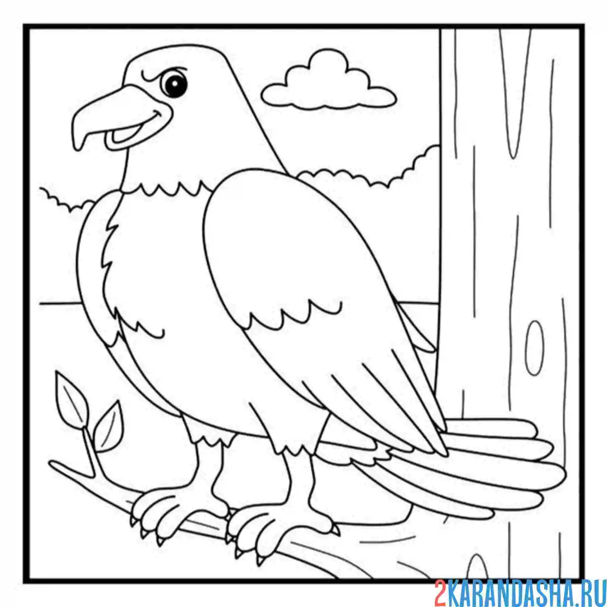 Раскраска орел на дереве