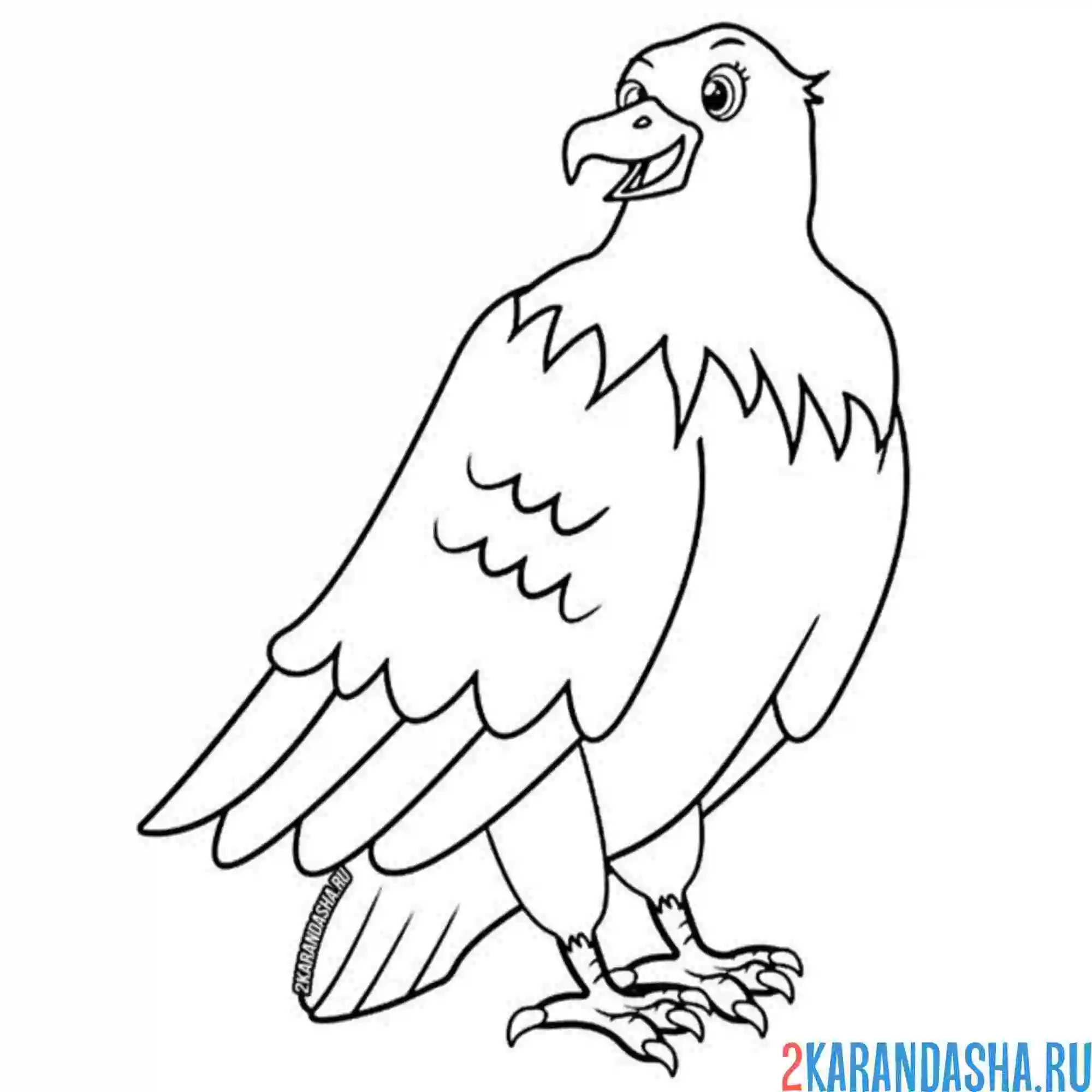 Раскраска орел добпый