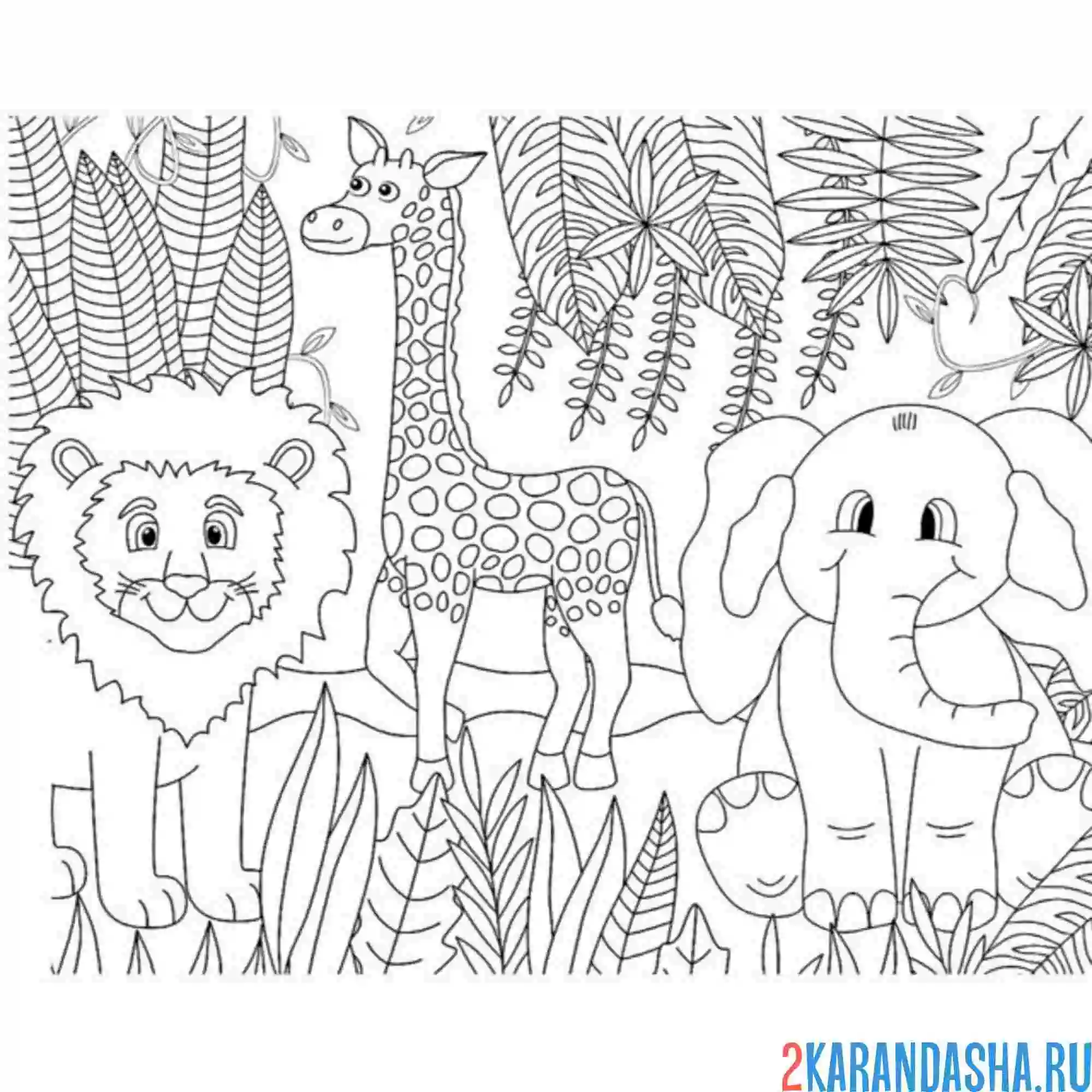 Раскраска лев слон жираф зоопарк