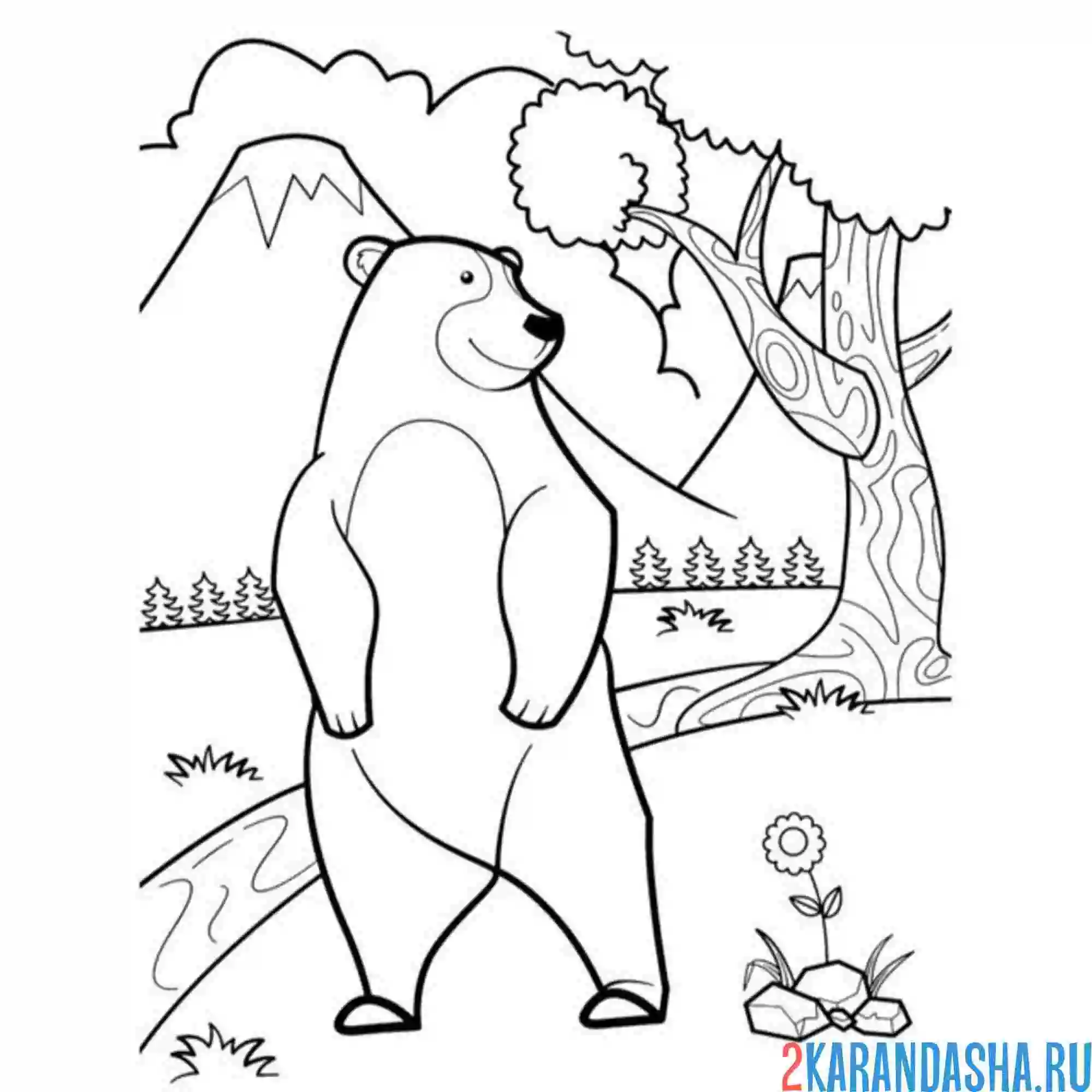 Раскраска медведь в зоопарке