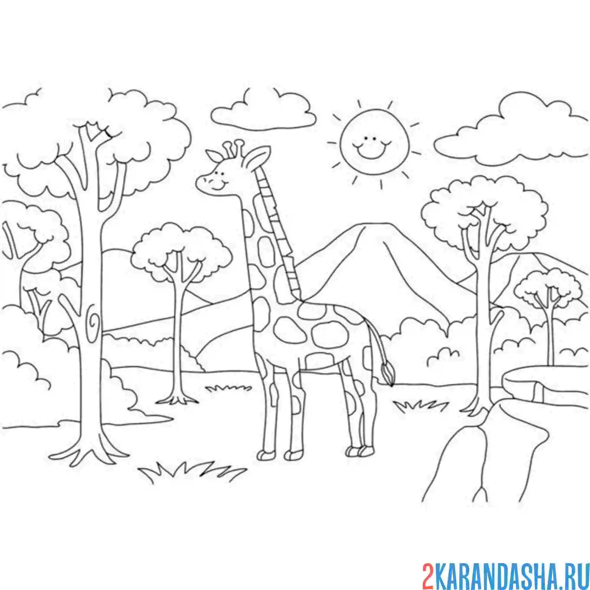 Раскраска жираф зоопарк вольер