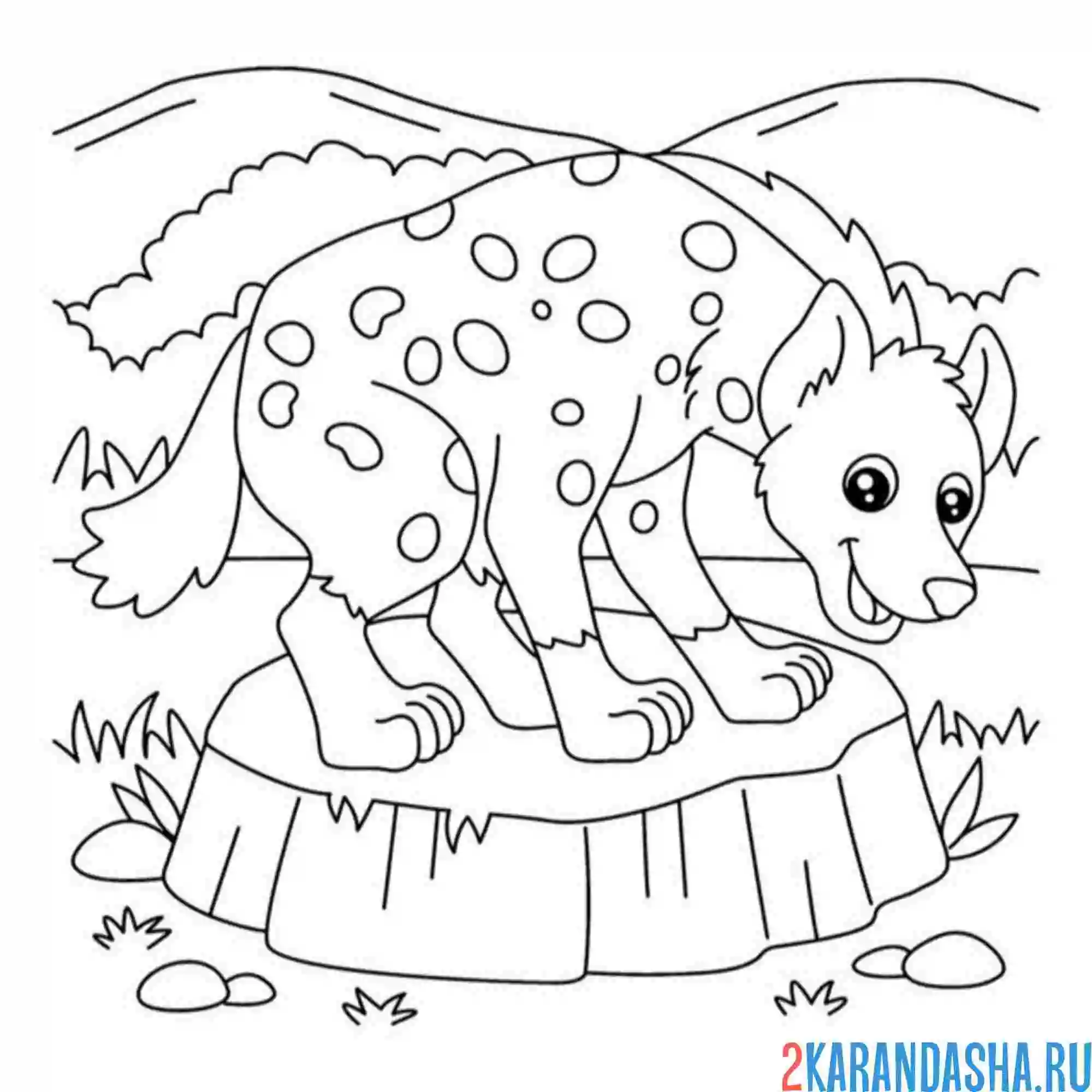 Раскраска гиена зоопарк