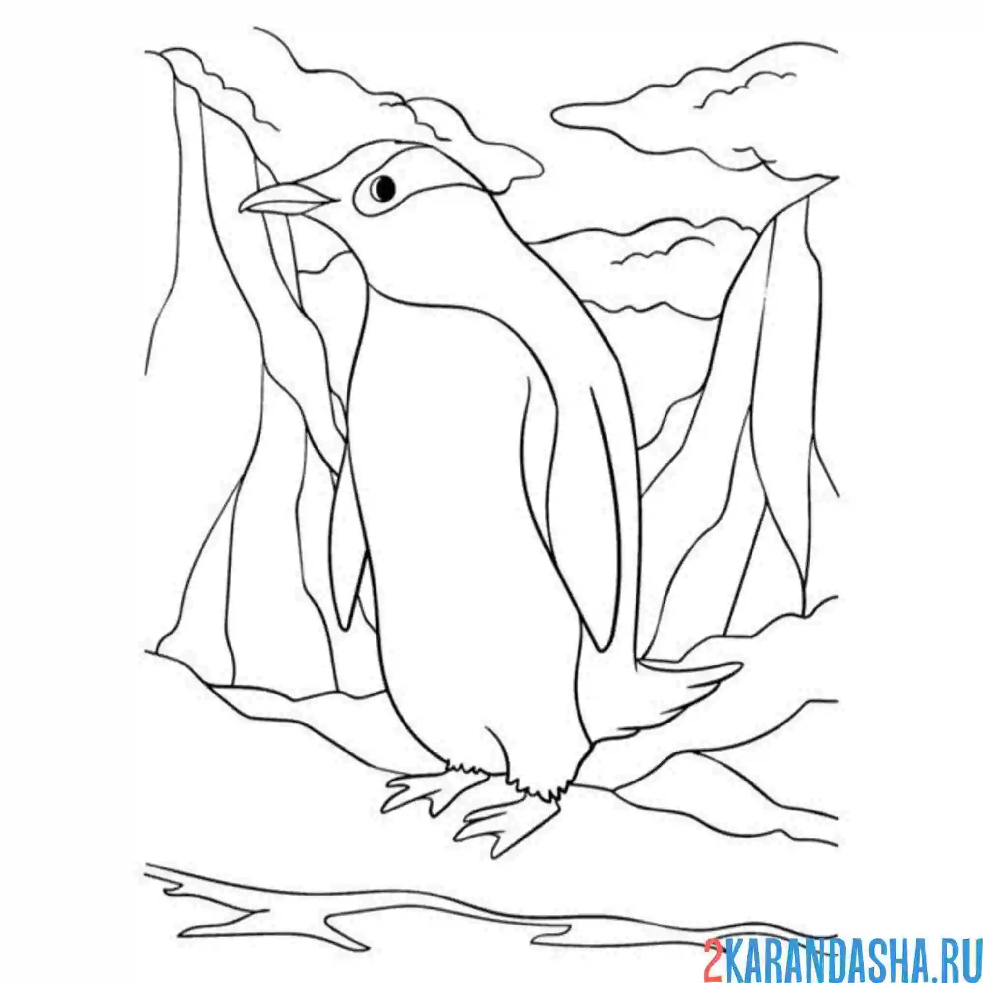 Раскраска пингвин зоопарк
