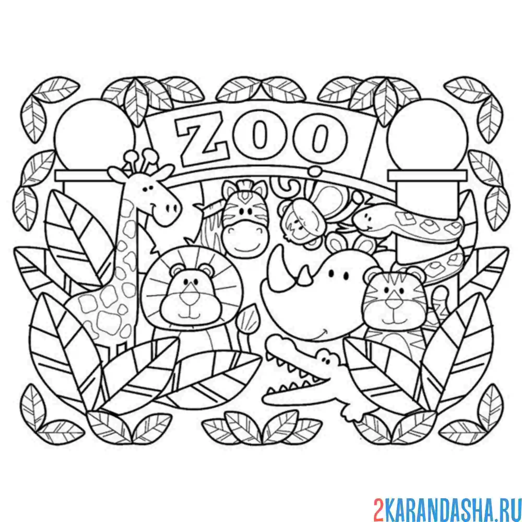 Раскраска зоопарк милые животные
