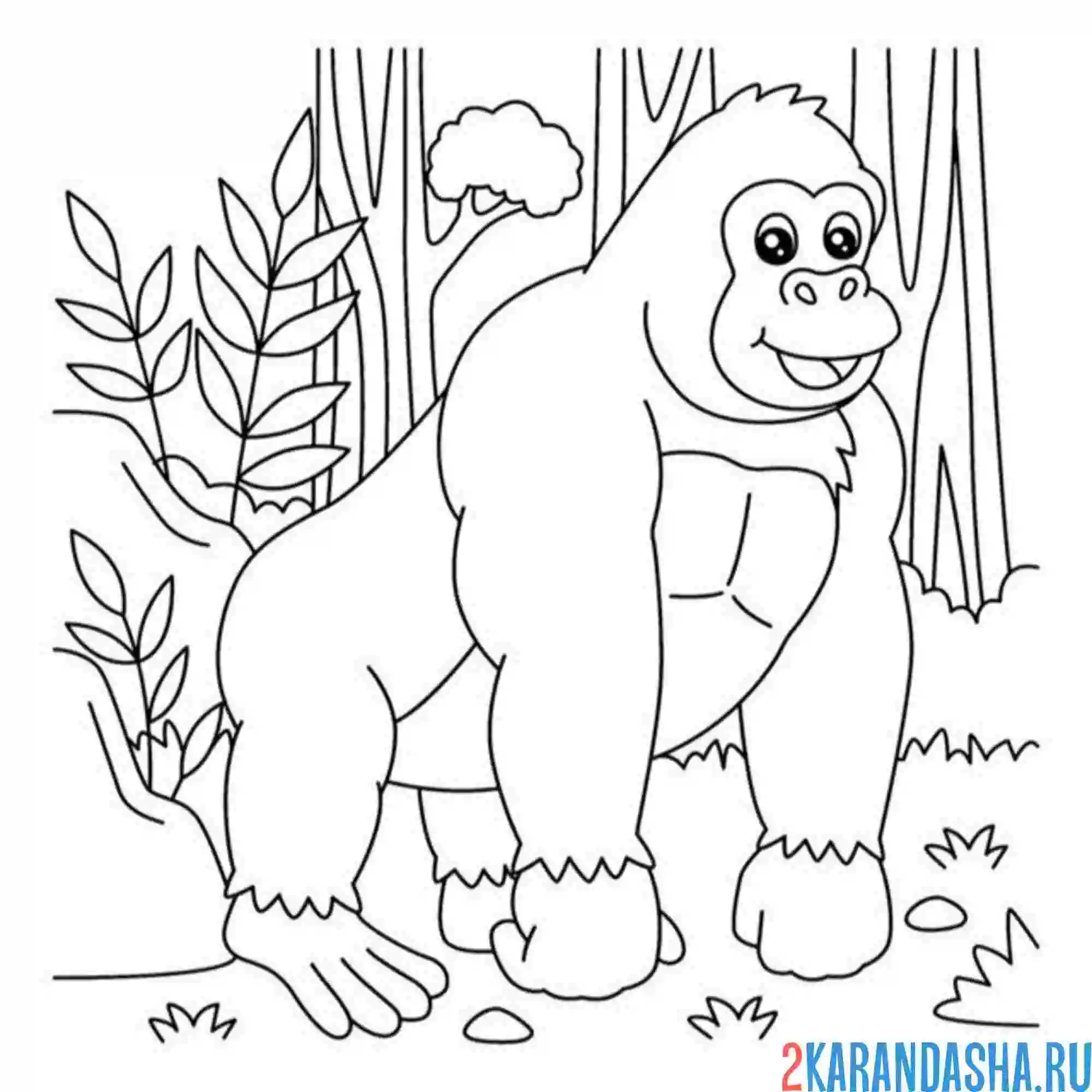 Раскраска горилла в зоопарке