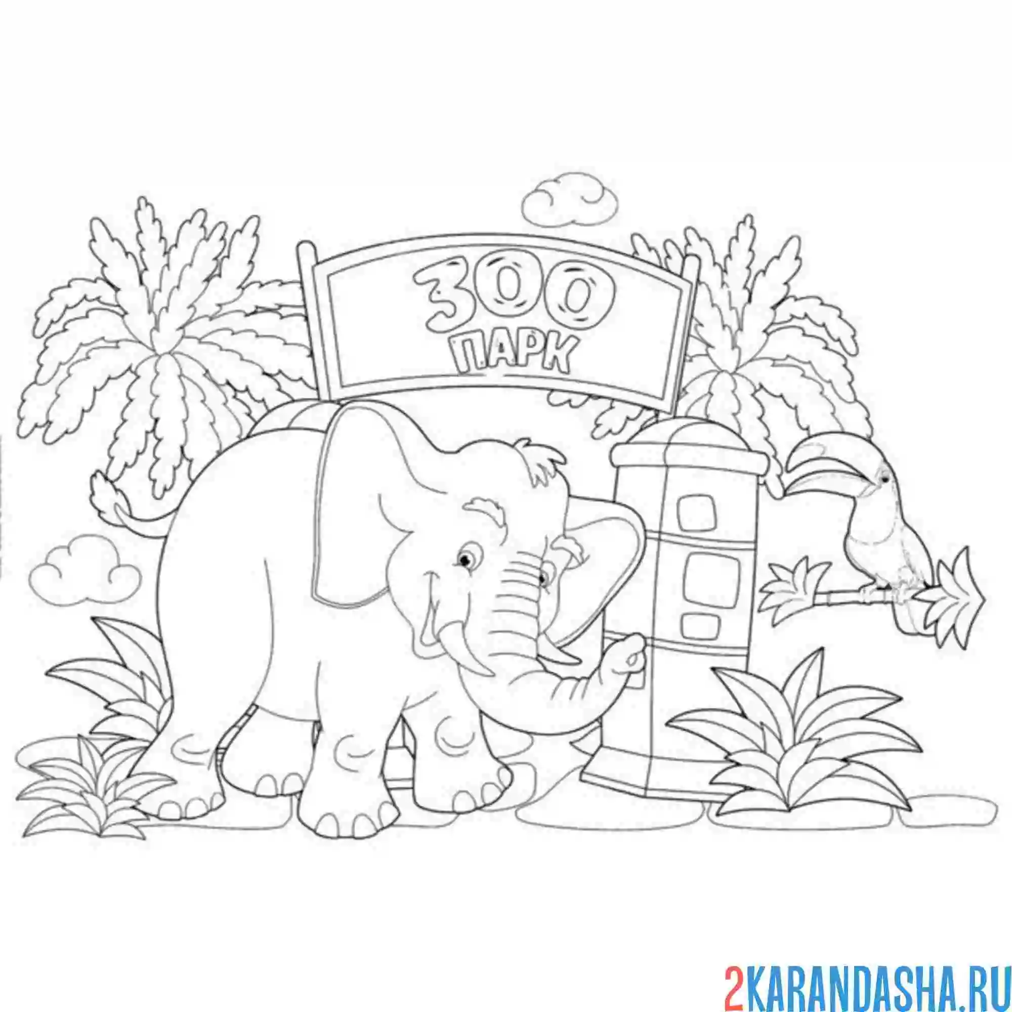 Раскраска зоопарк слон
