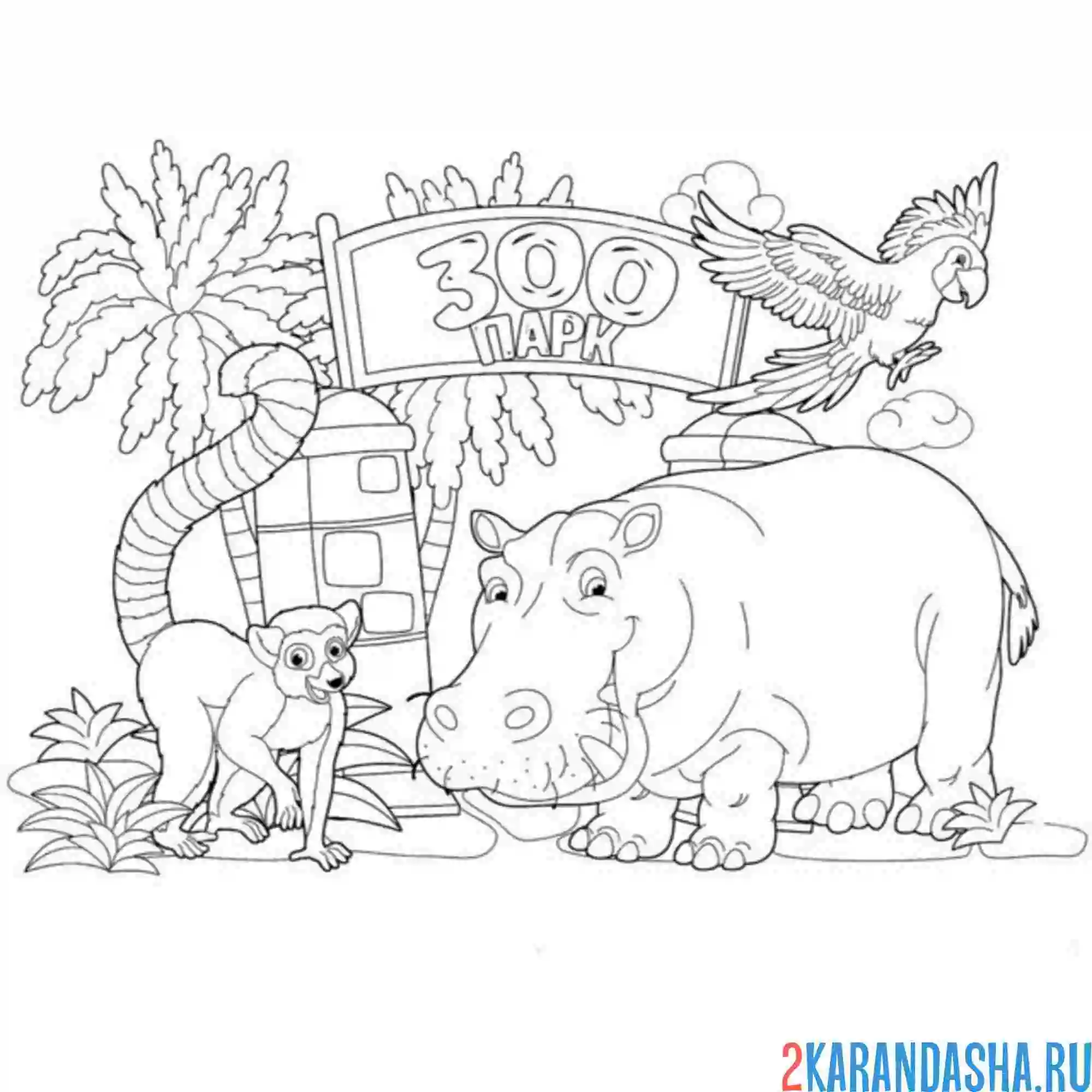 Раскраска разные животные зоопарк