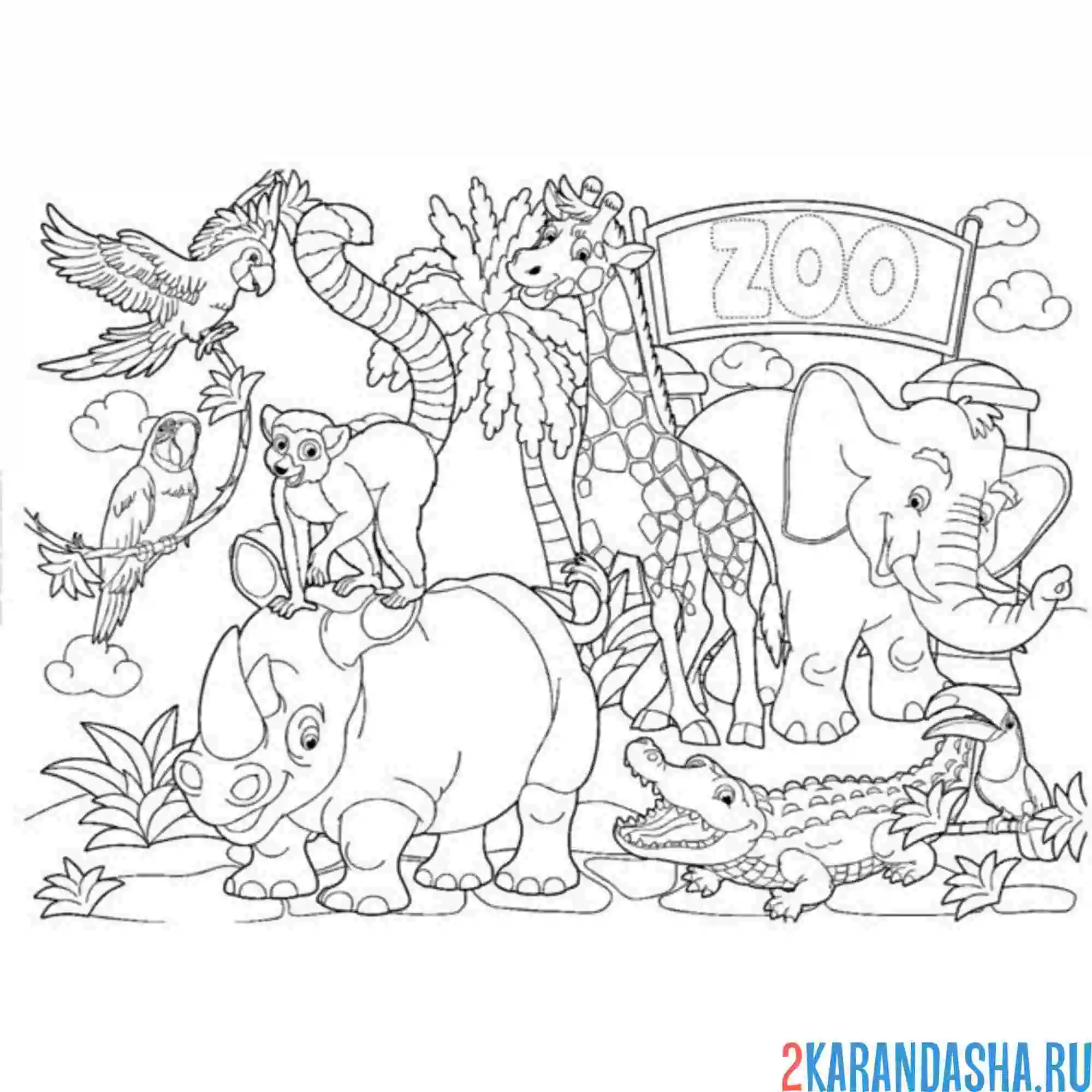 Раскраска зоопарк любимые животные