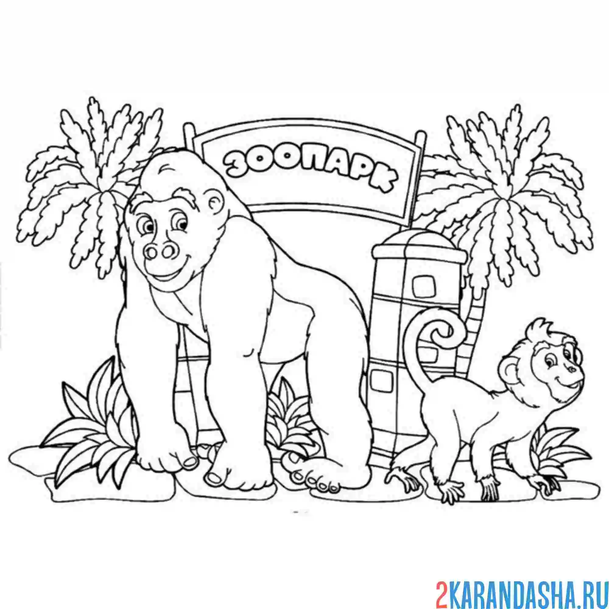 Раскраска горилла у зоопарка