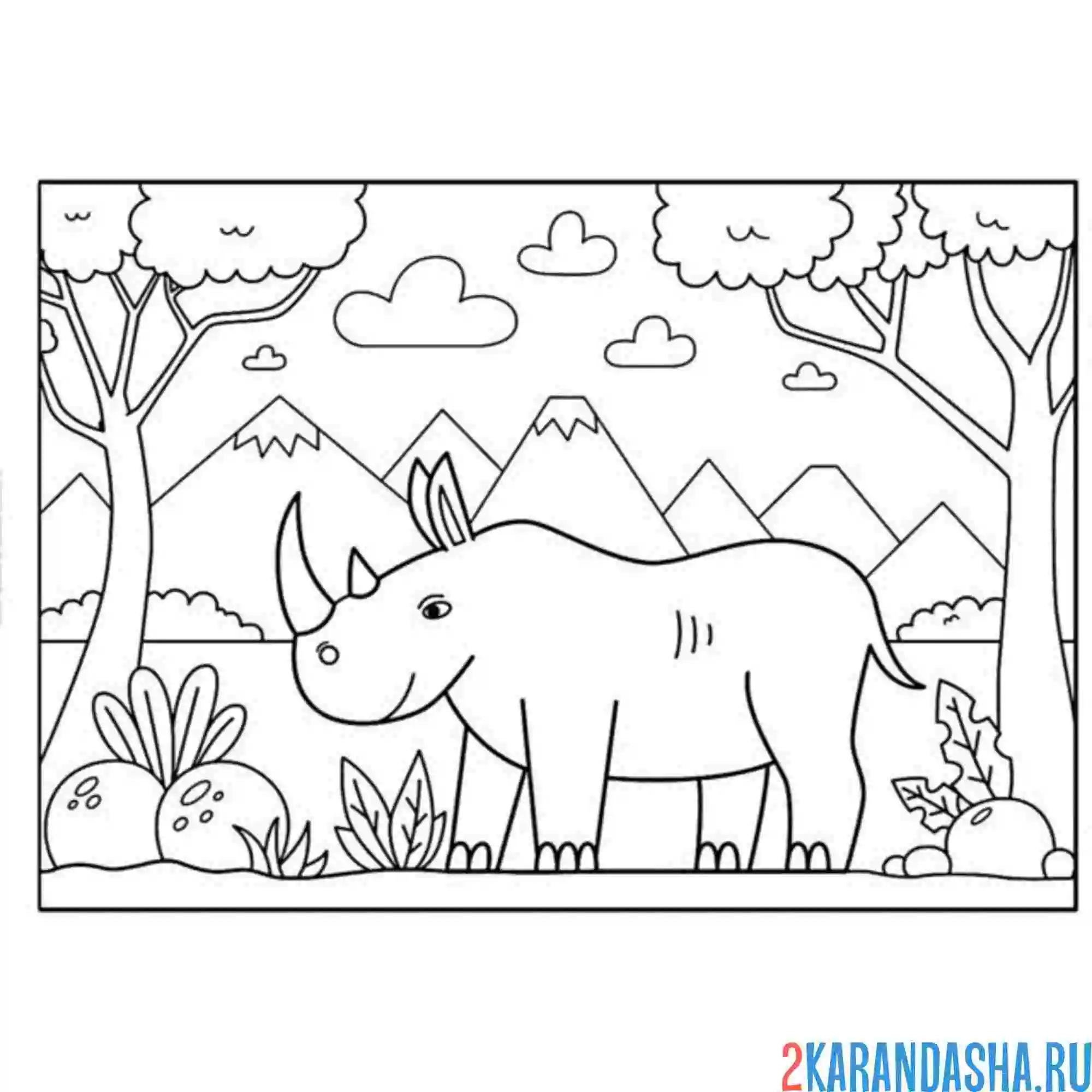 Раскраска зоопарк носорог