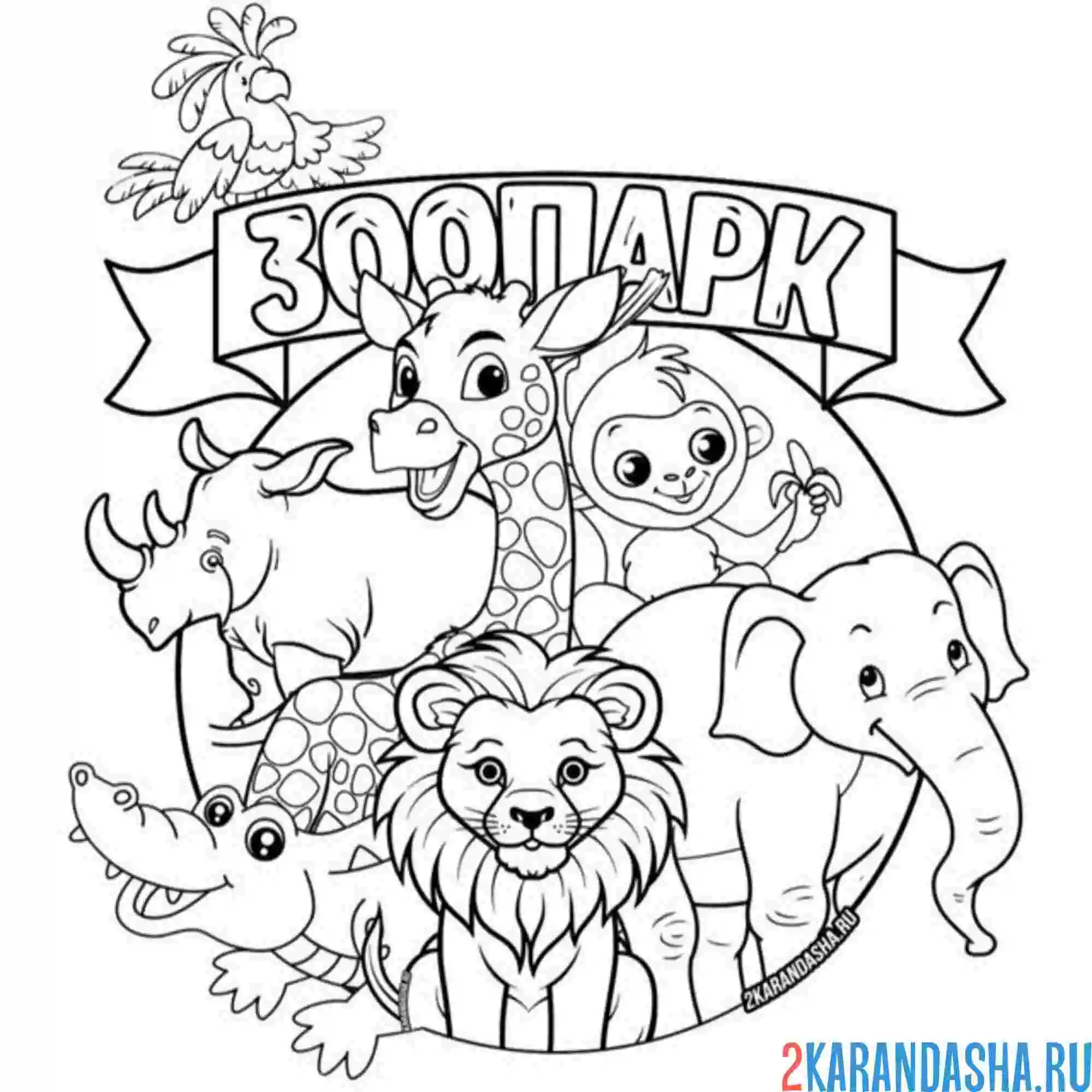 Раскраска зоопарк животные вместе