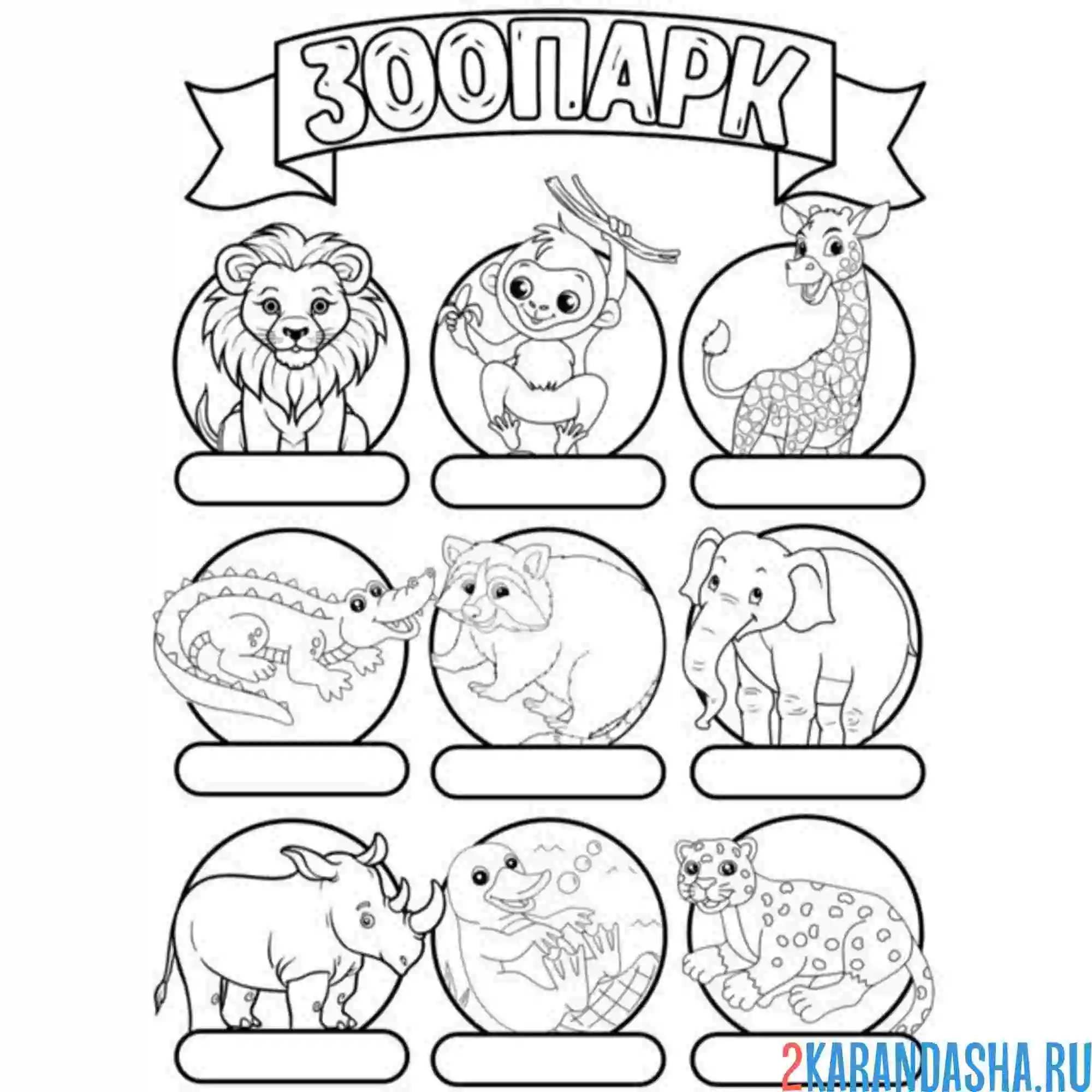 Раскраска зоопарк напиши животных