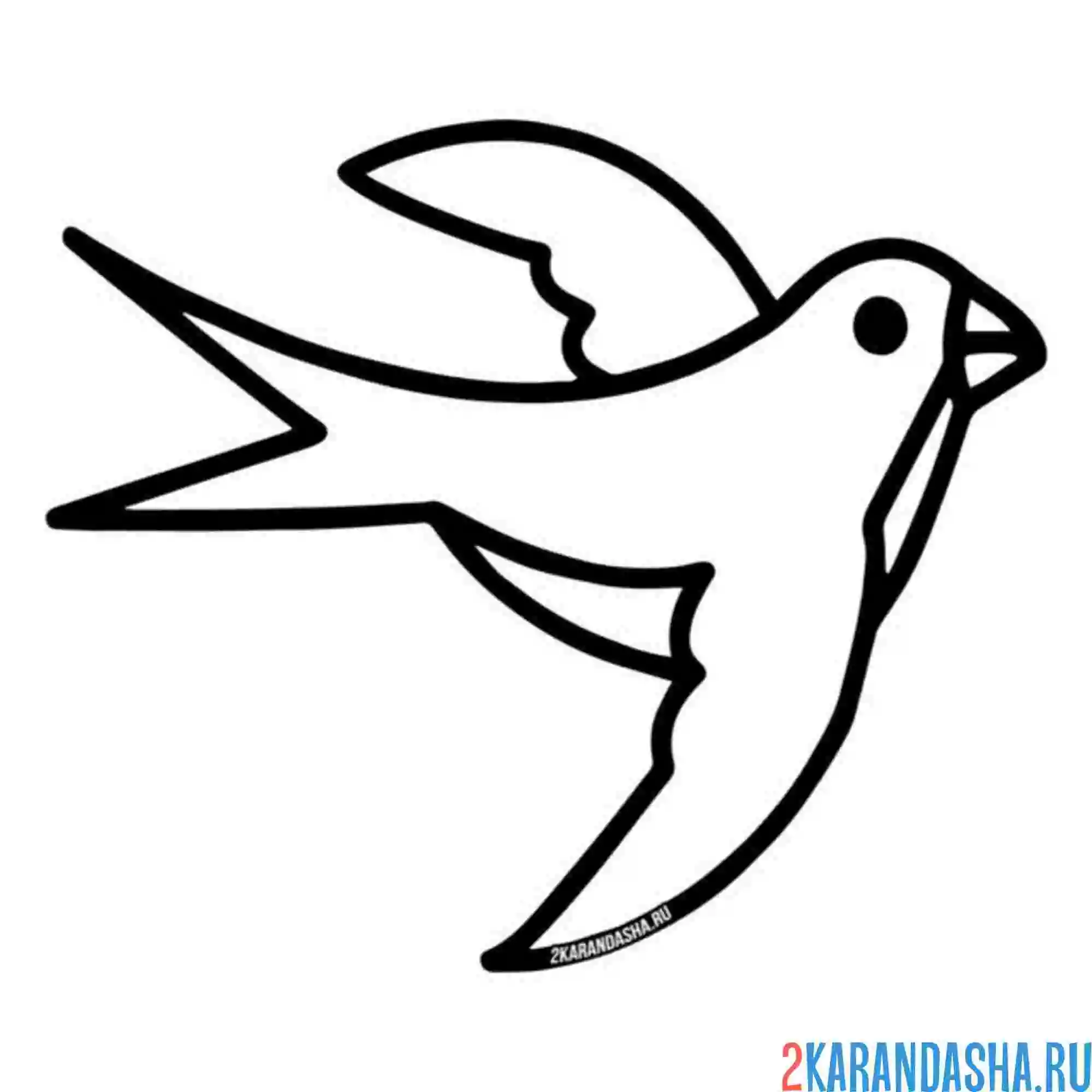 Раскраска ласточка толстый контур