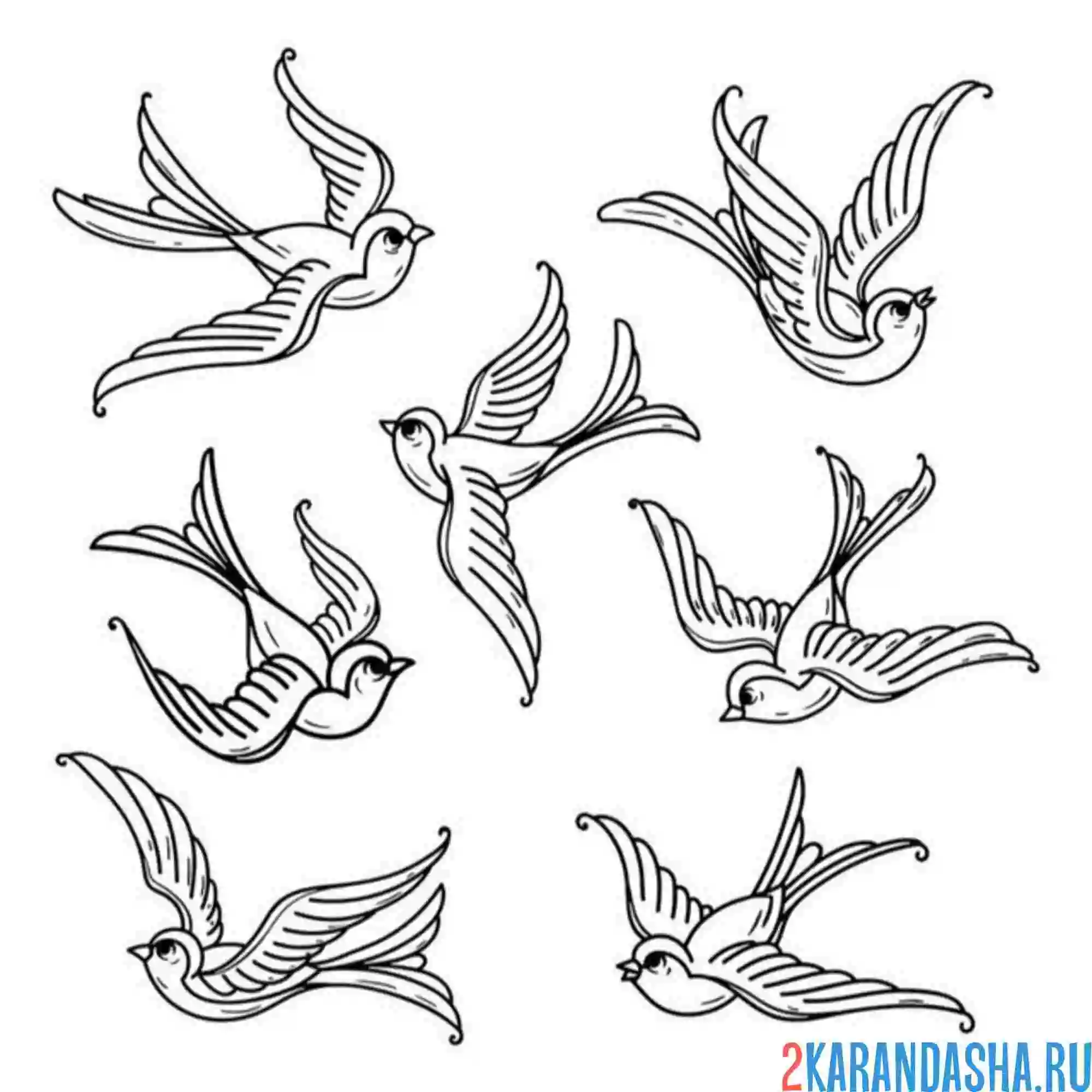 Раскраска много ласточек