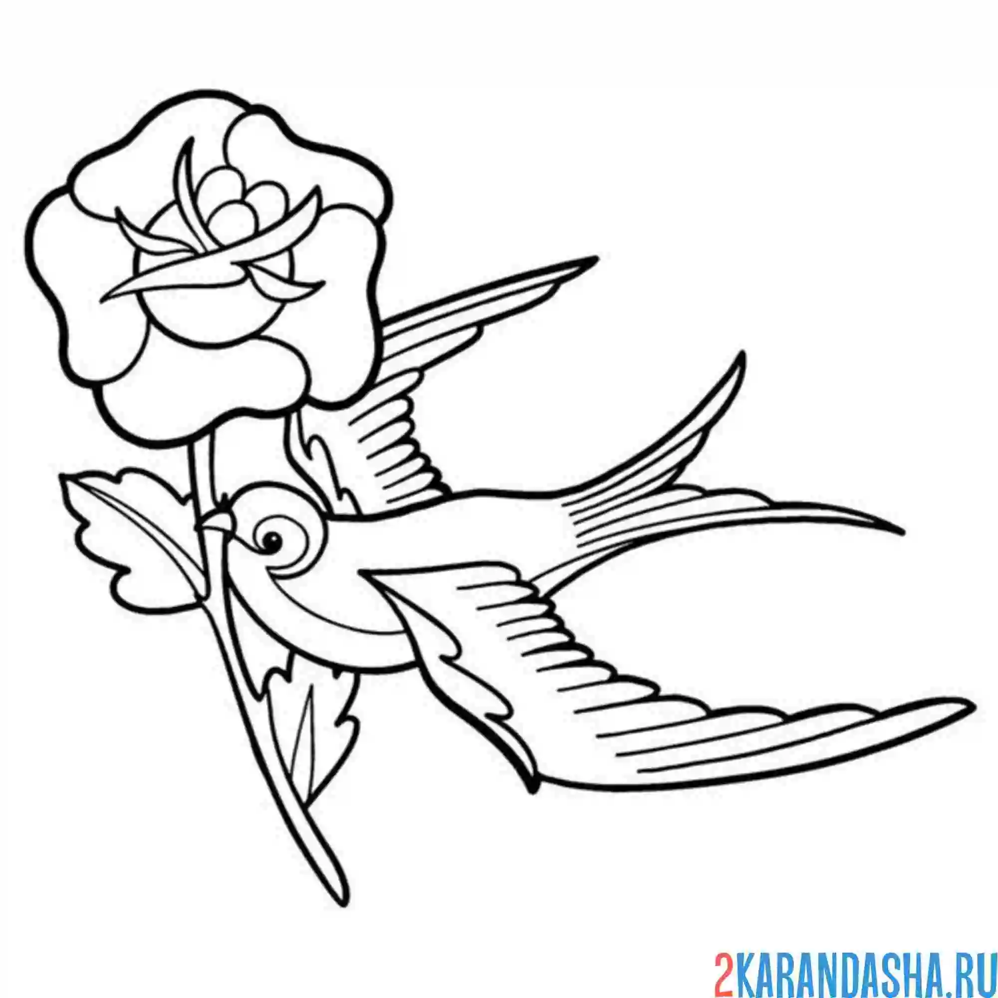 Раскраска ласточка несет цветочек
