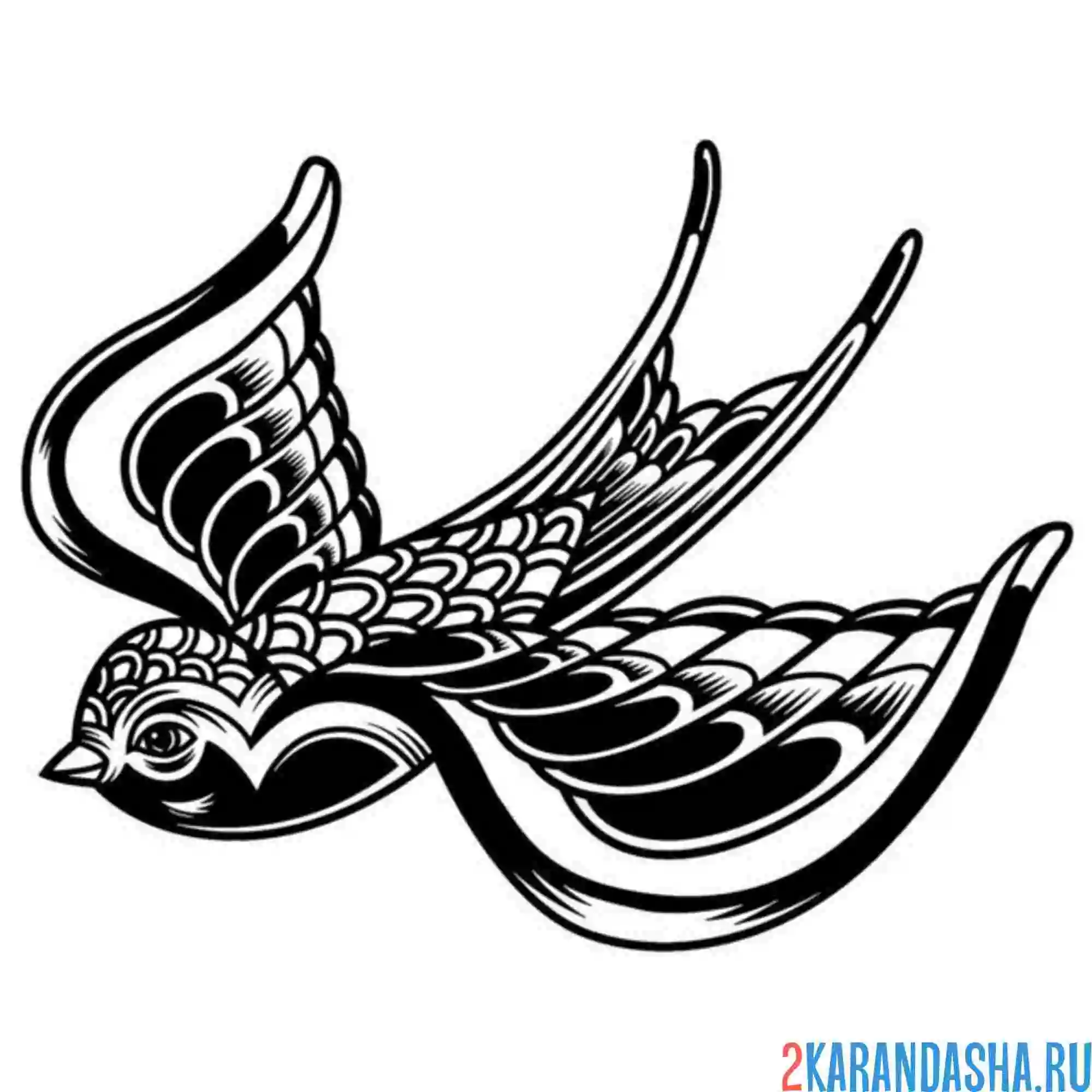 Раскраска темная ласточка