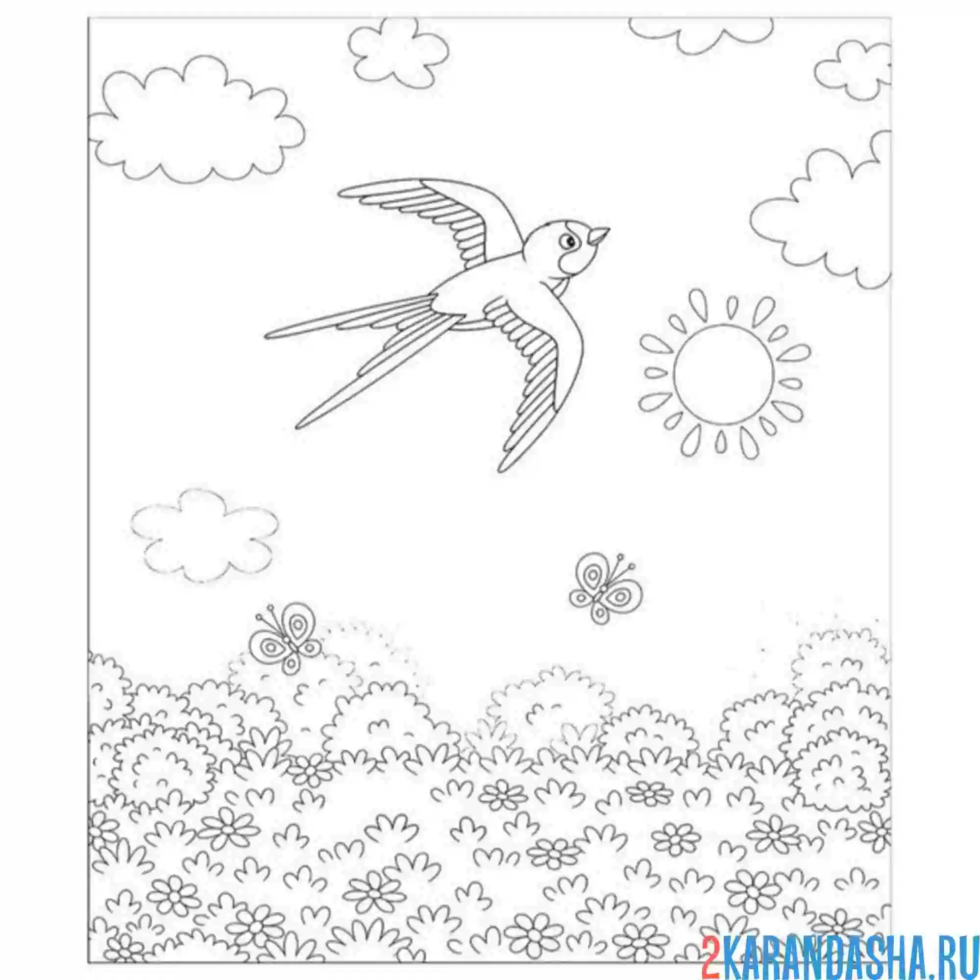 Раскраска ласточка в лесу